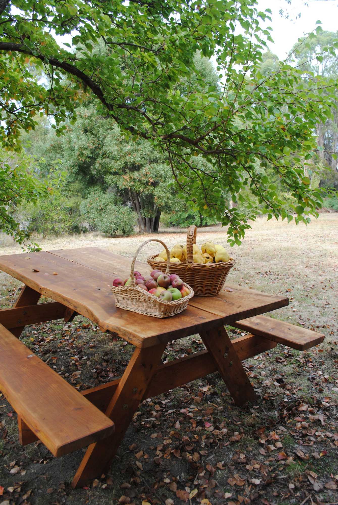 Gift card for Tranquil Point