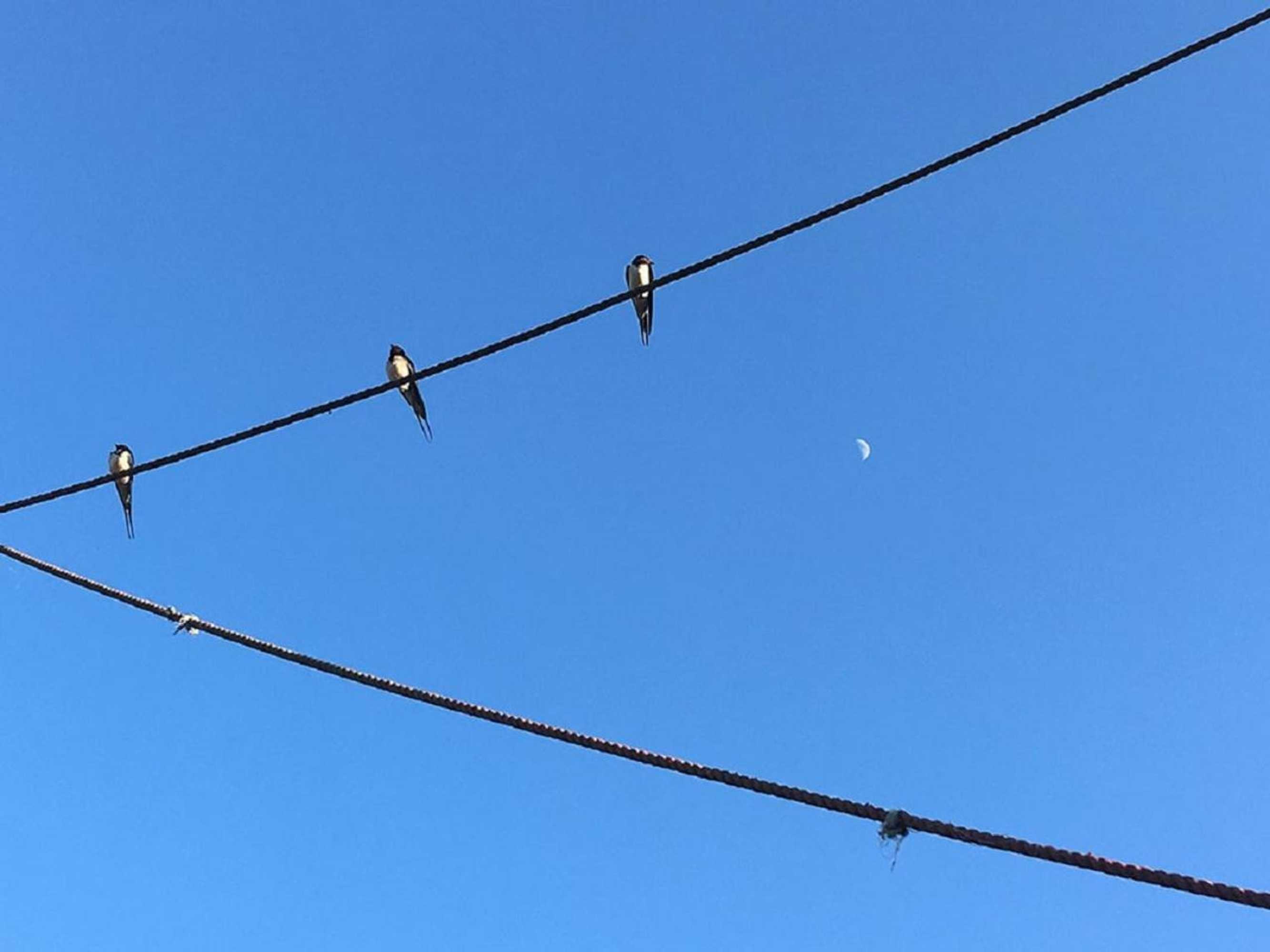 Gift card for Wellness Camping Stoltenborg