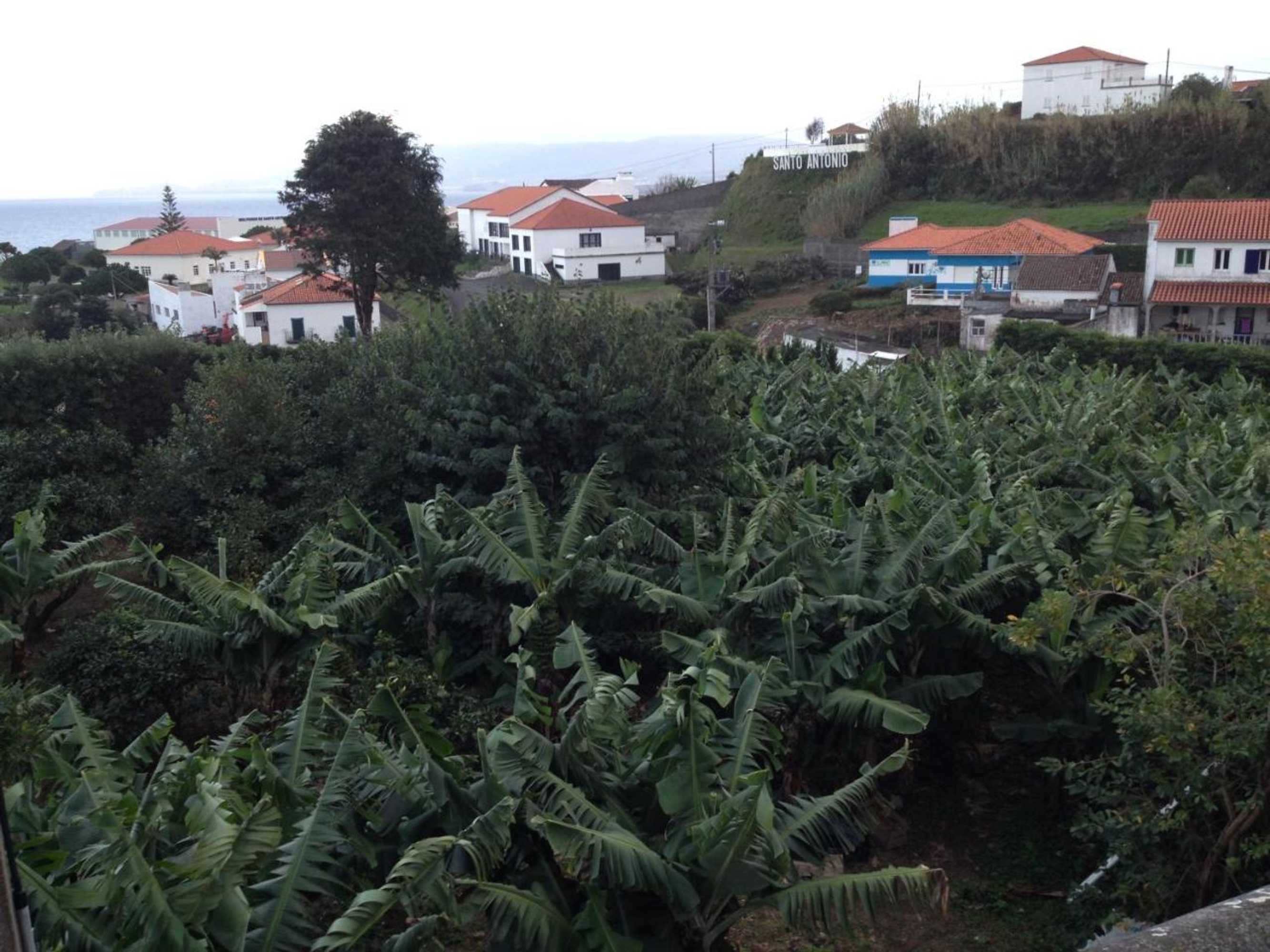 Gift card for Casa do Vale do Sossego