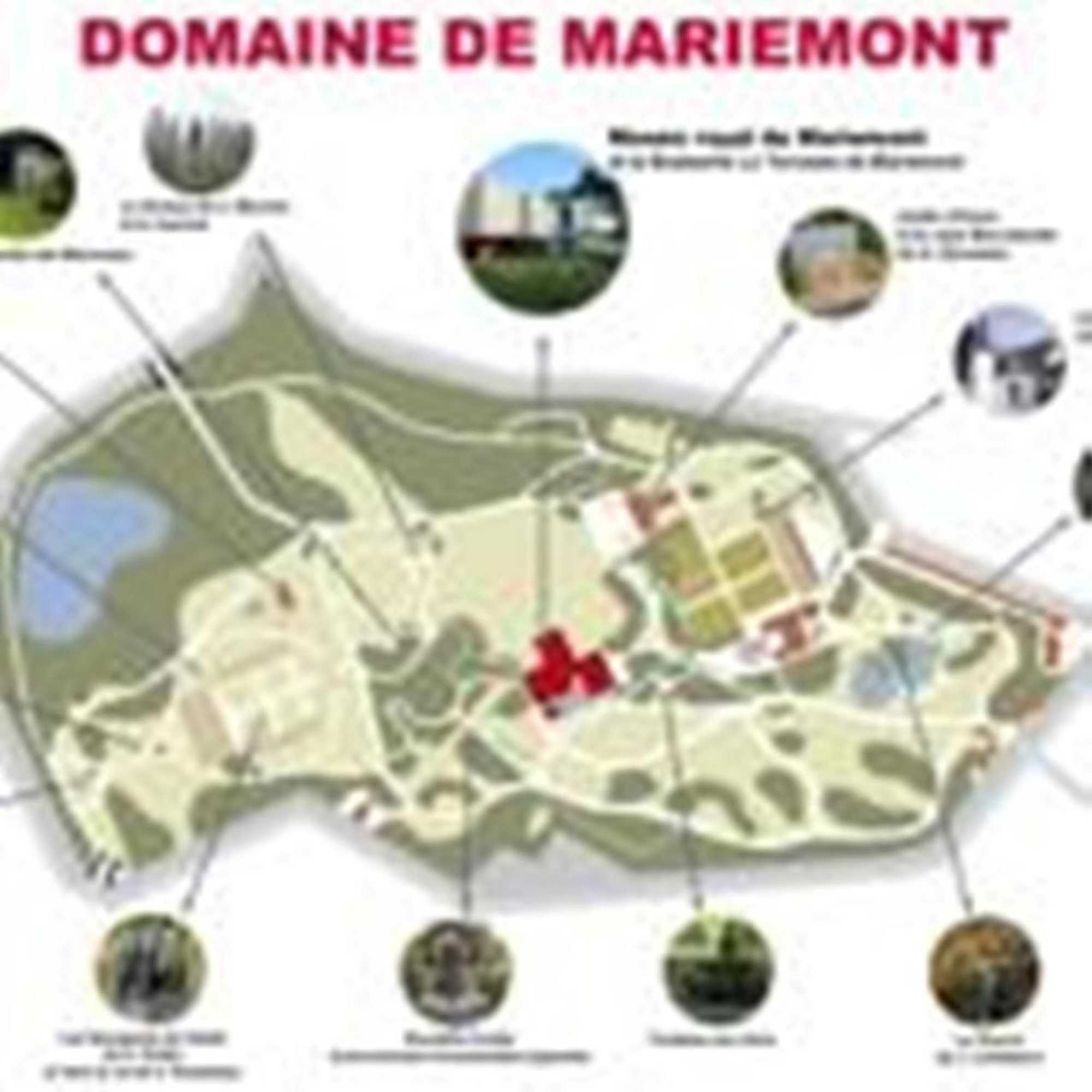 Gift card for Le New Matinal
