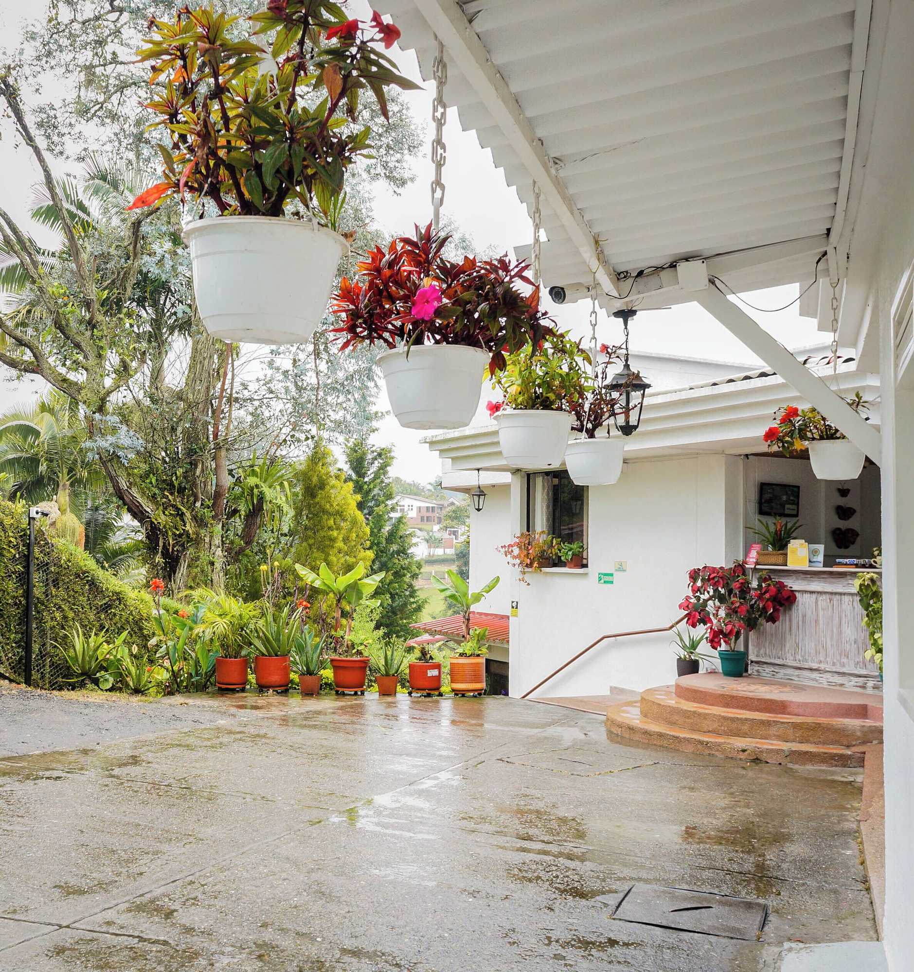 Gift card for Hotel Campestre Villa Mary Gift card for Hotel Campestre Villa Mary