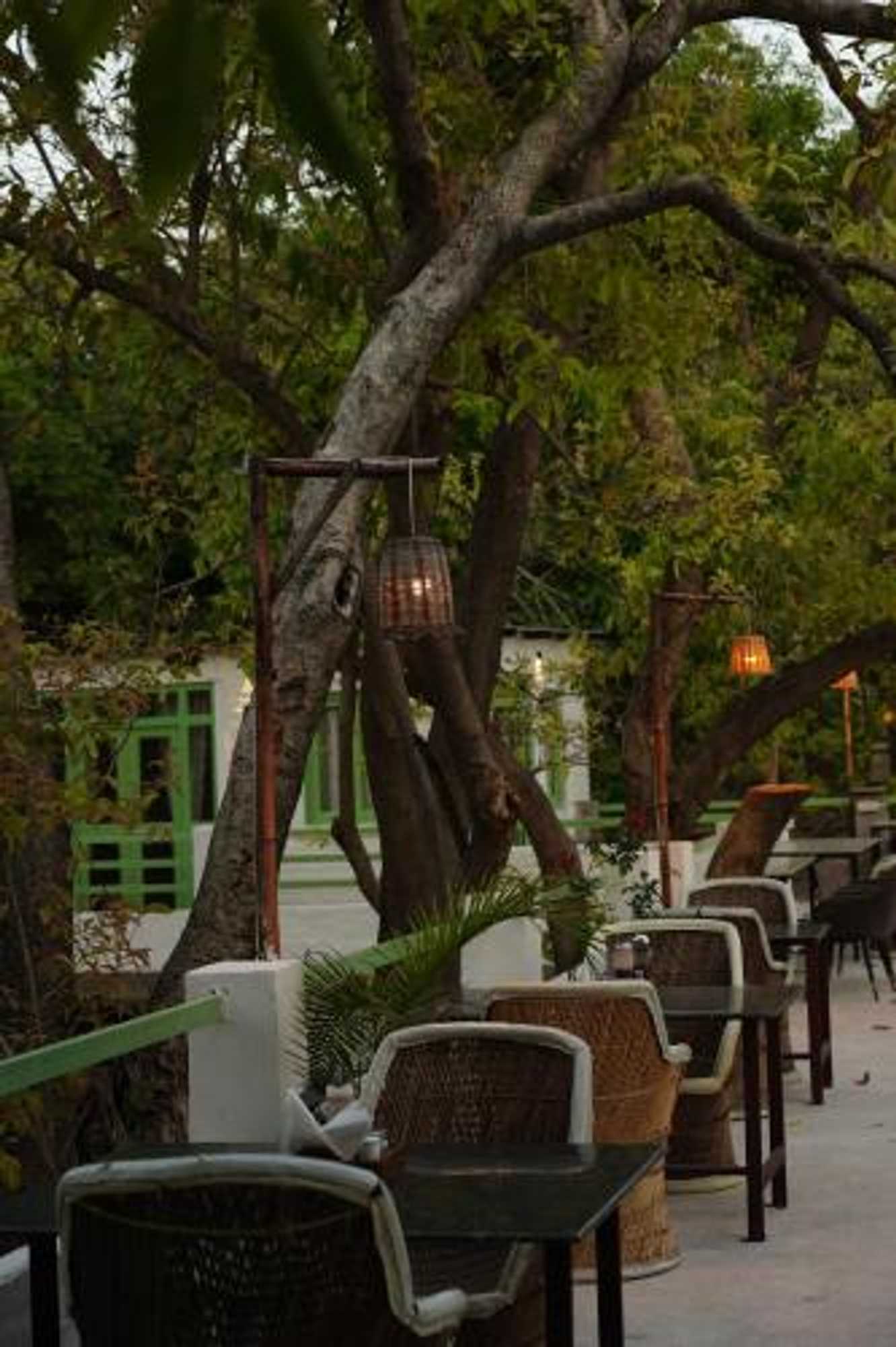 Gift card for Heli Pushkar Gift card for Heli Pushkar