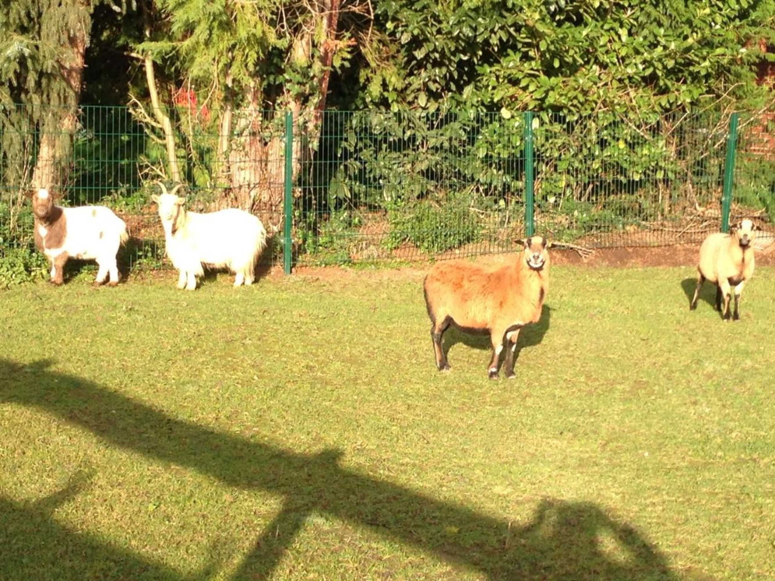 Gift card for Hotel Zum Alten Schlagbaum