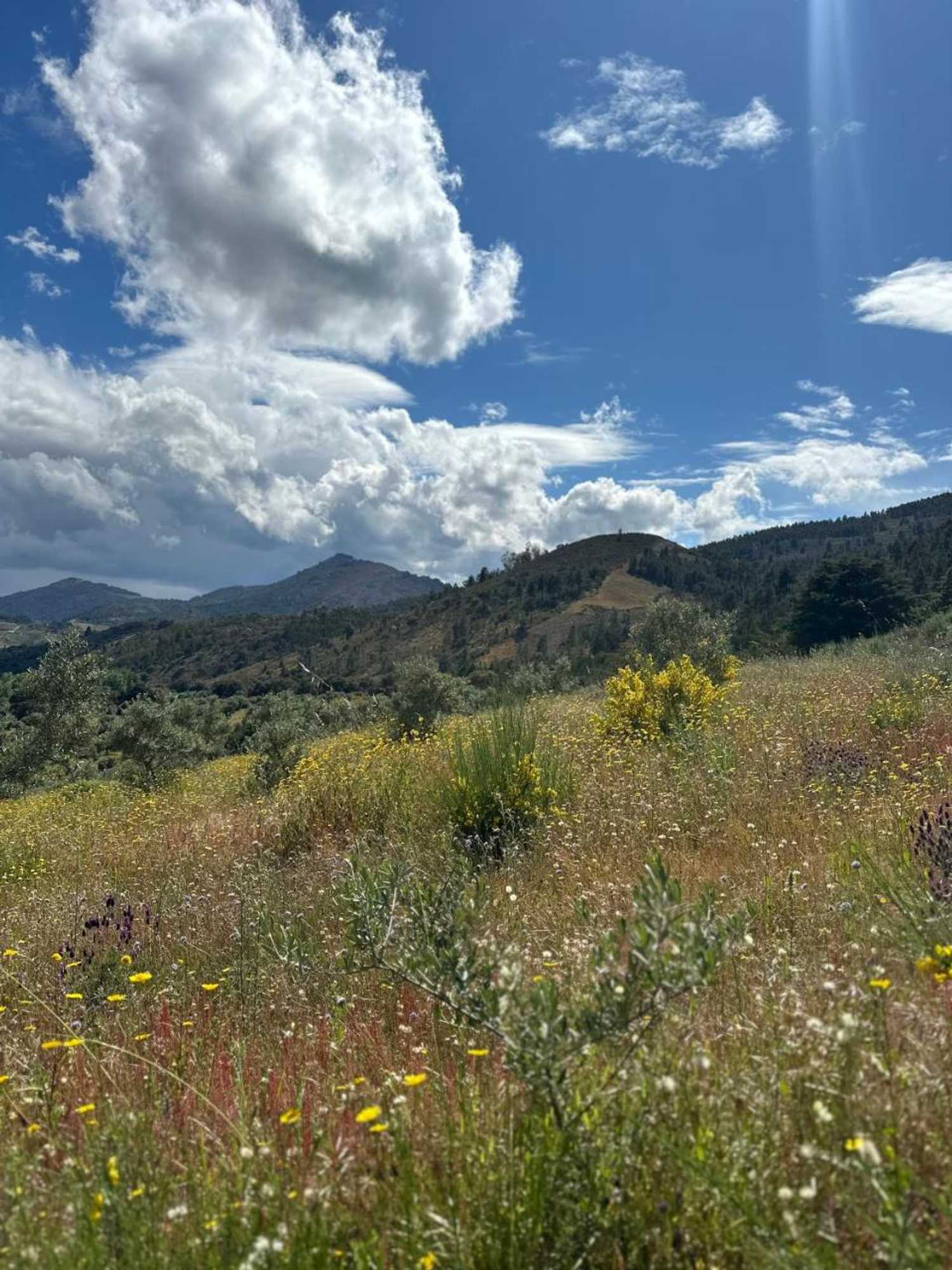 Gift card for Casa Dos Araújos