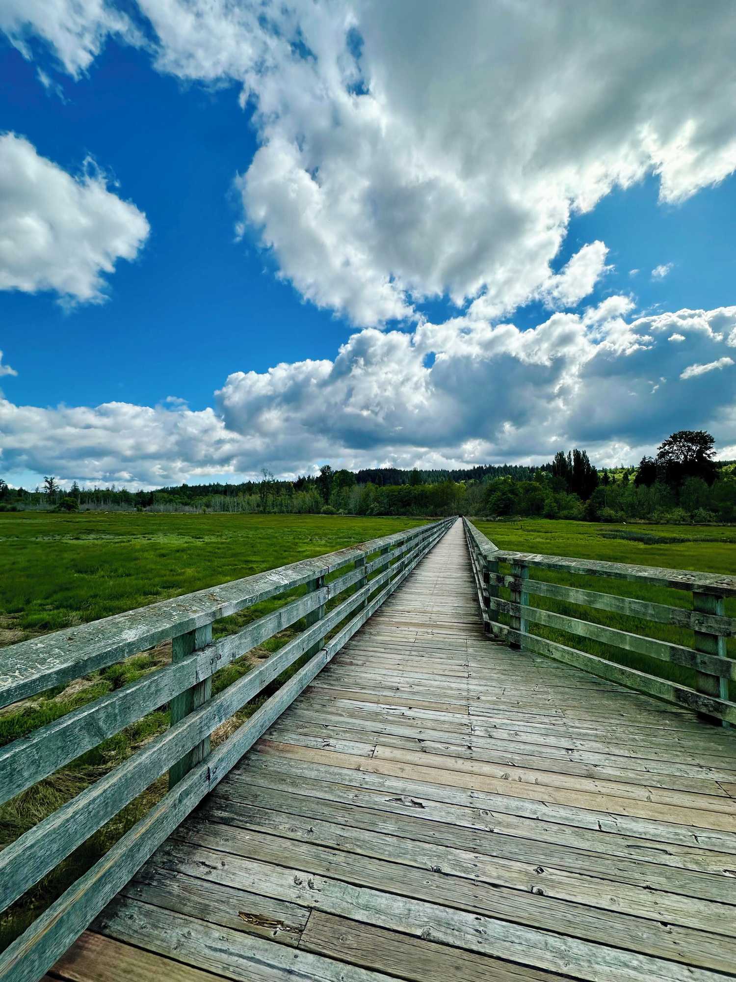 Gift card for Belfair Motel