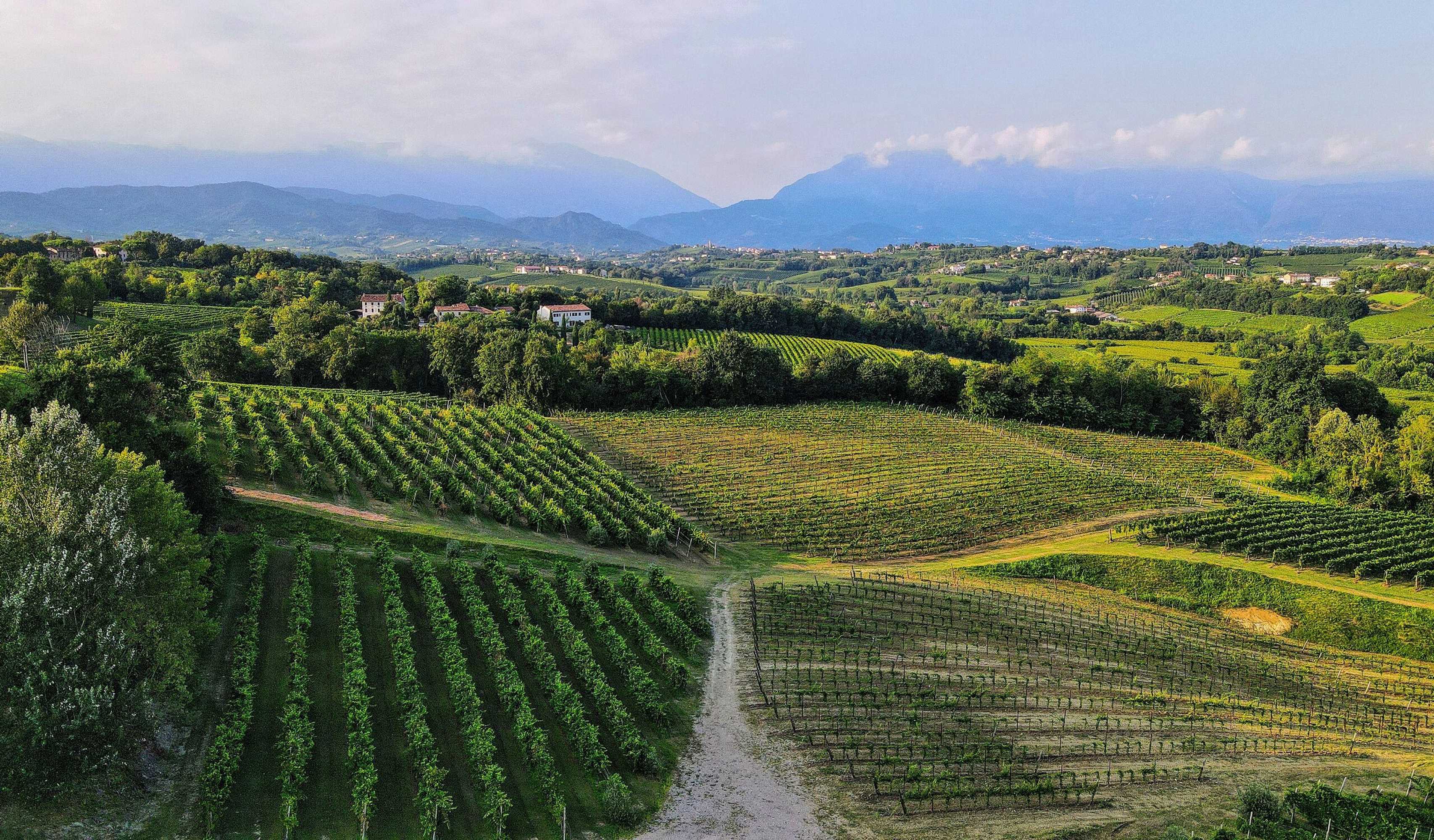 Gift card for Tenuta Mani Sagge Gift card for Tenuta Mani Sagge