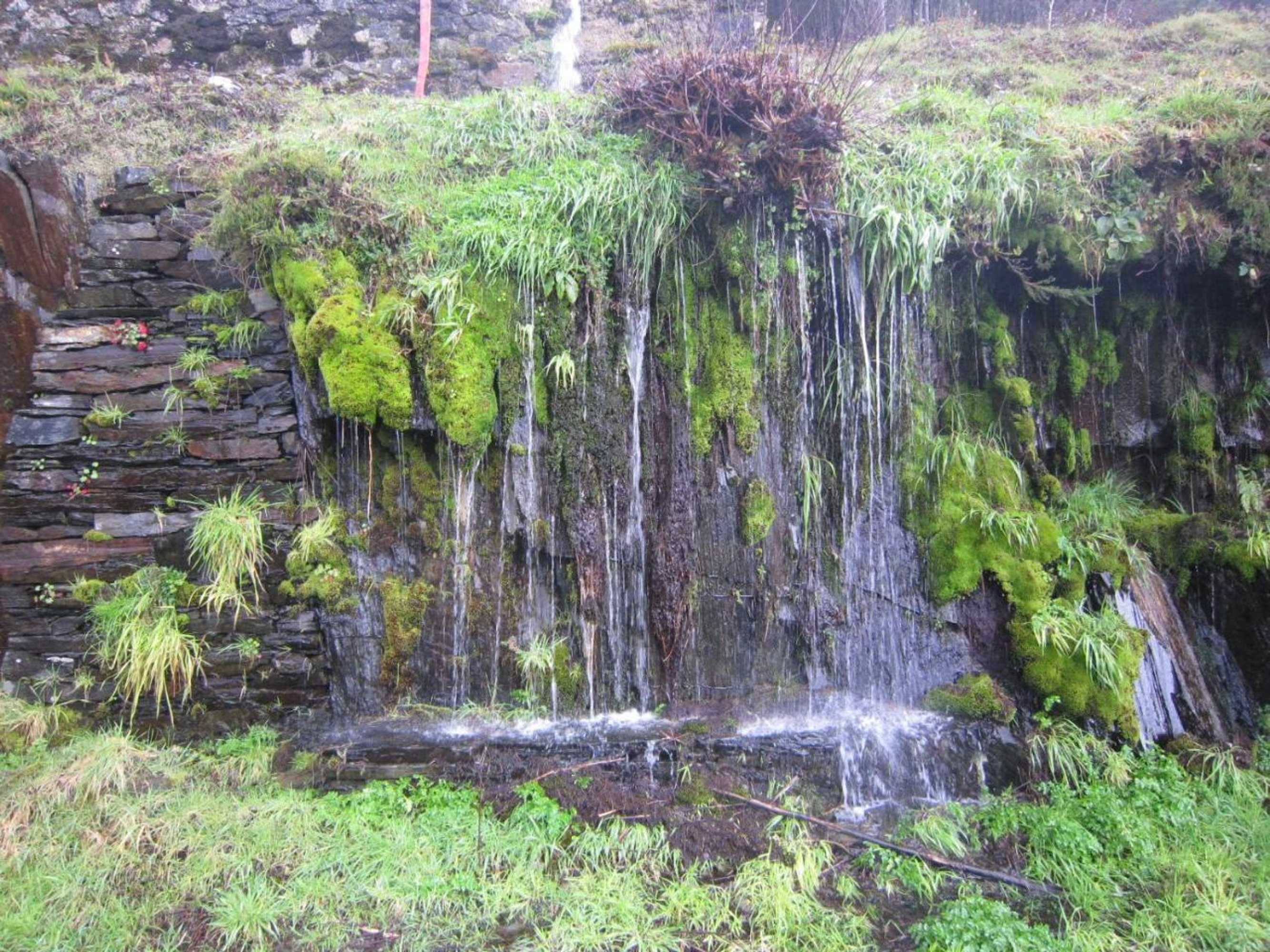 Gift card for Residencial Mira-Sol