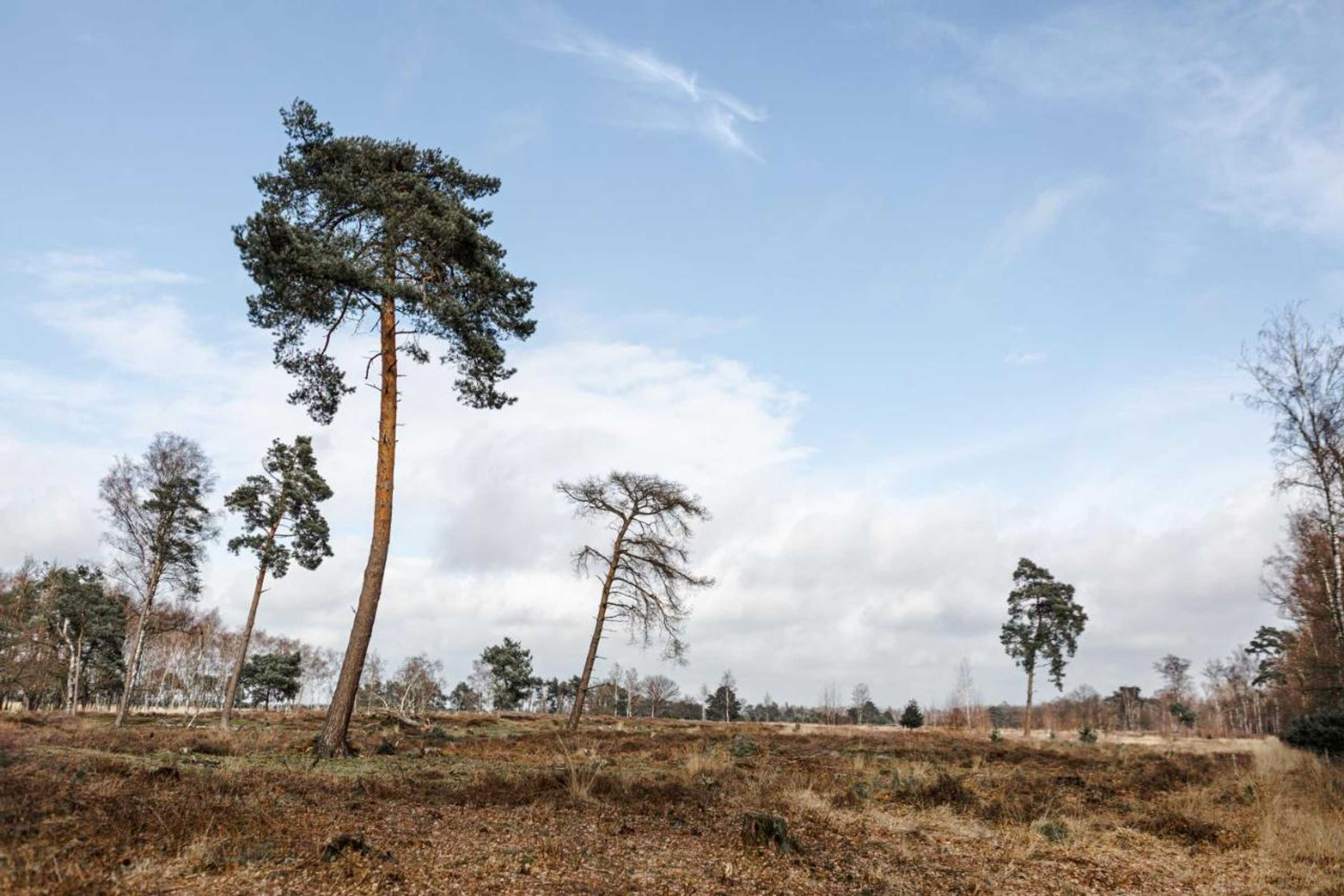 Gift card for B&b Studiolke