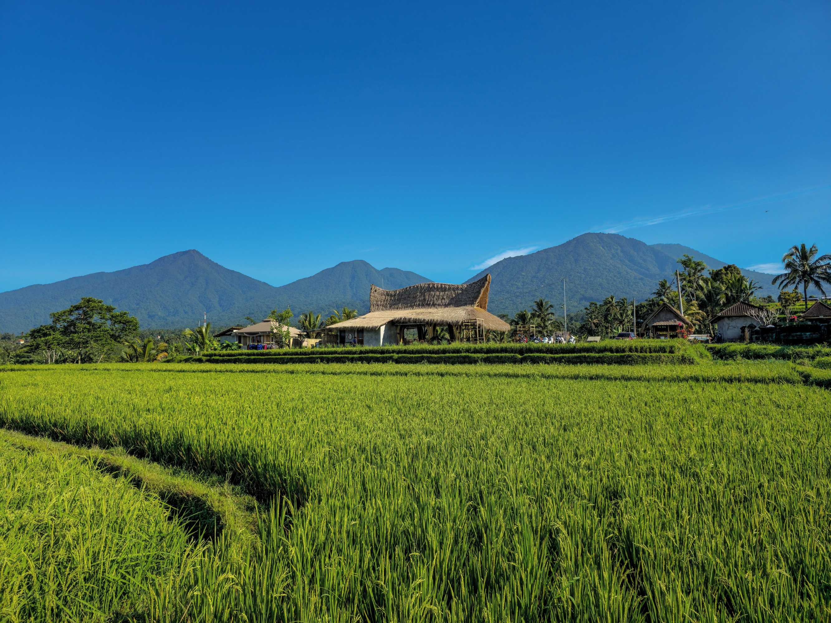 Gift card for Nadi Nature Resort - Adults Only Gift card for Nadi Nature Resort - Adults Only