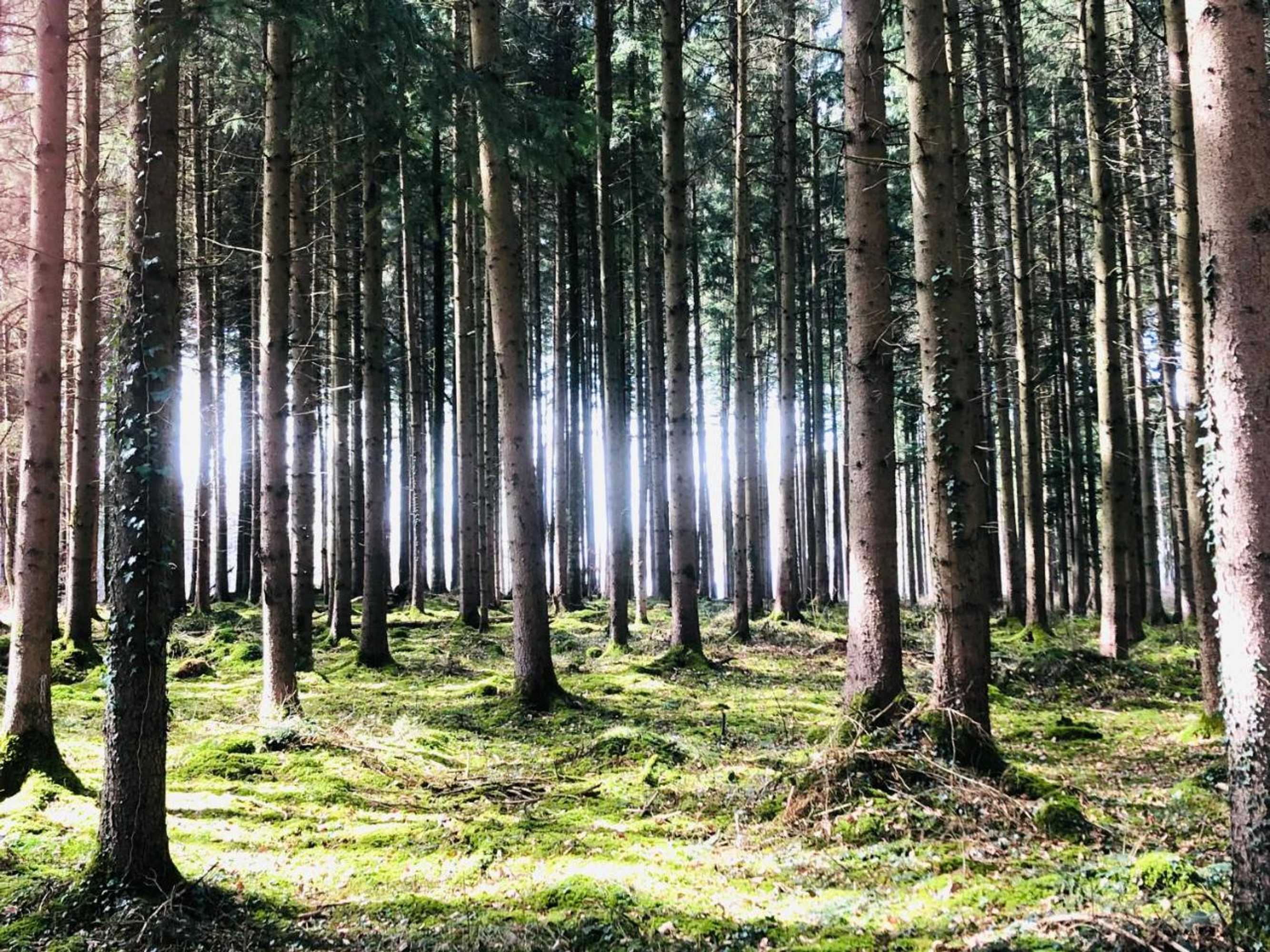 Gift card for Villa Kunterbunt