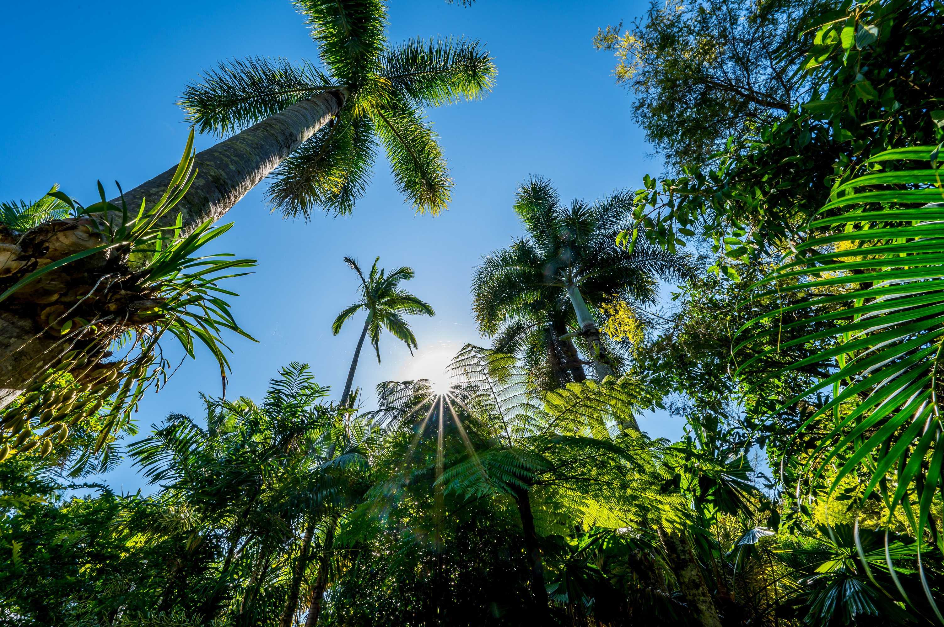 Gift card for Eco Village Mission Beach Gift card for Eco Village Mission Beach