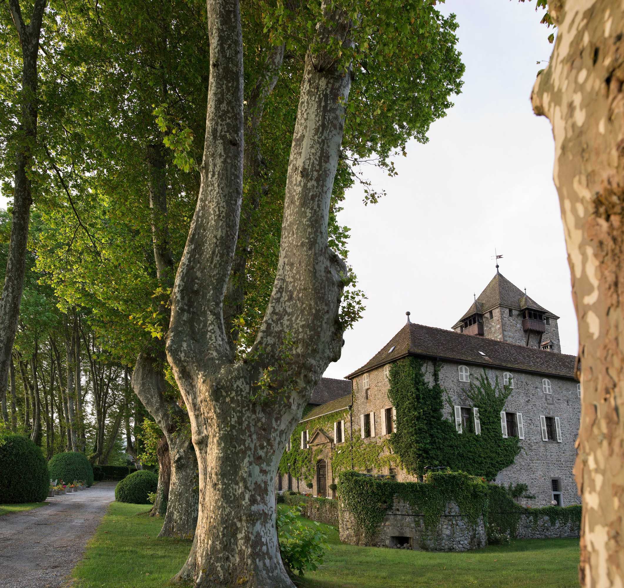 Gift card for Château de Coudrée Gift card for Château de Coudrée