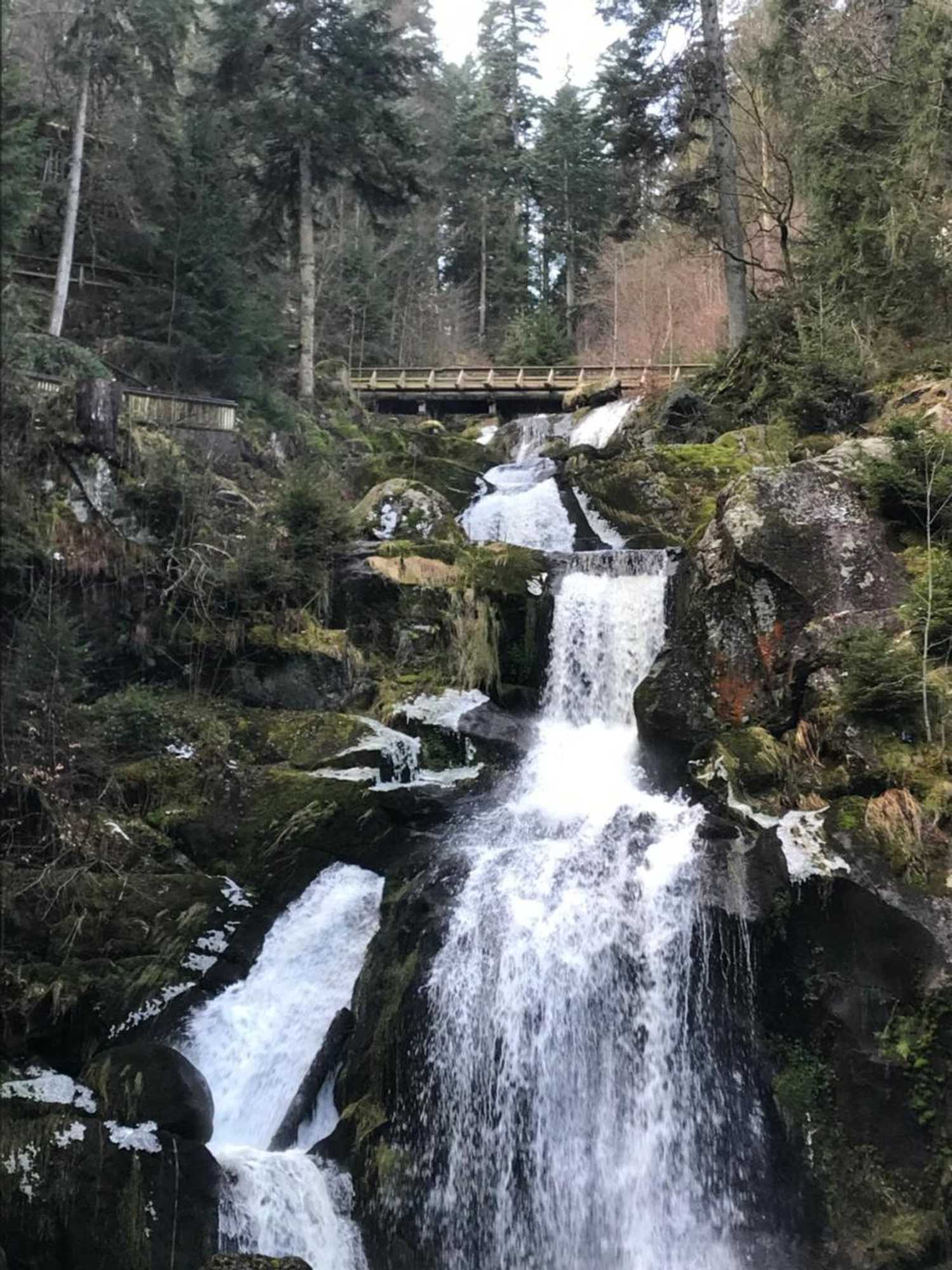 Gift card for Hotel Garni Central