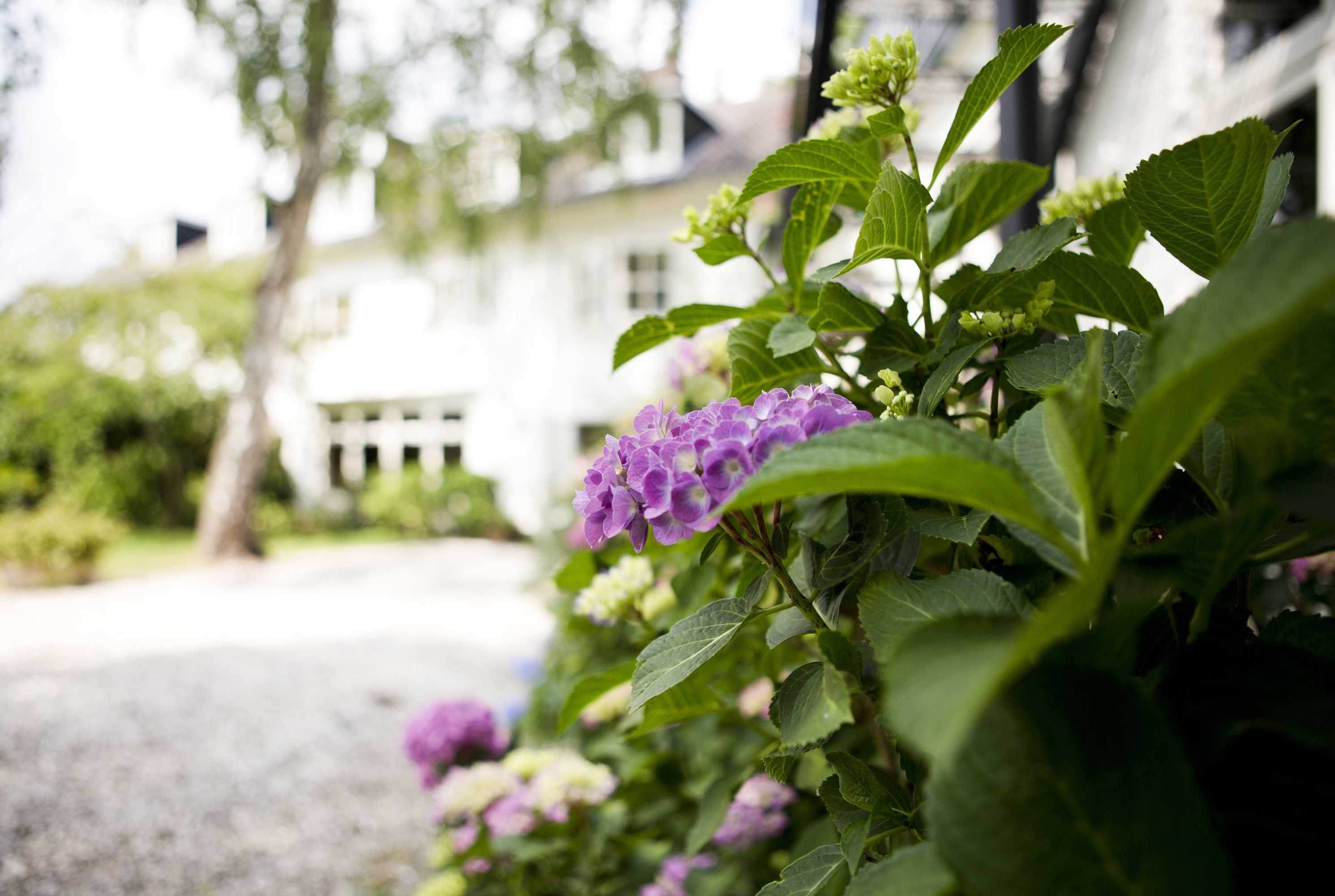 Gift card for De Kastanjehof