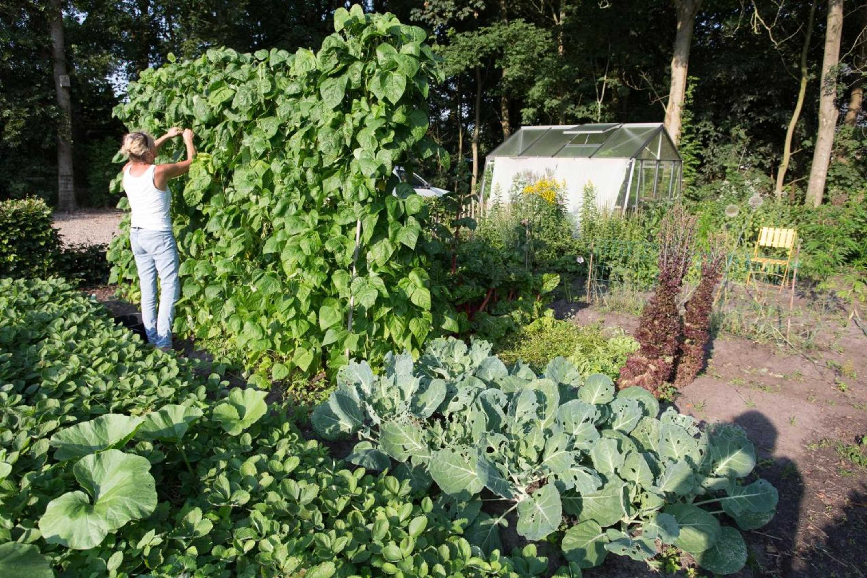 Gift card for Blier Herne