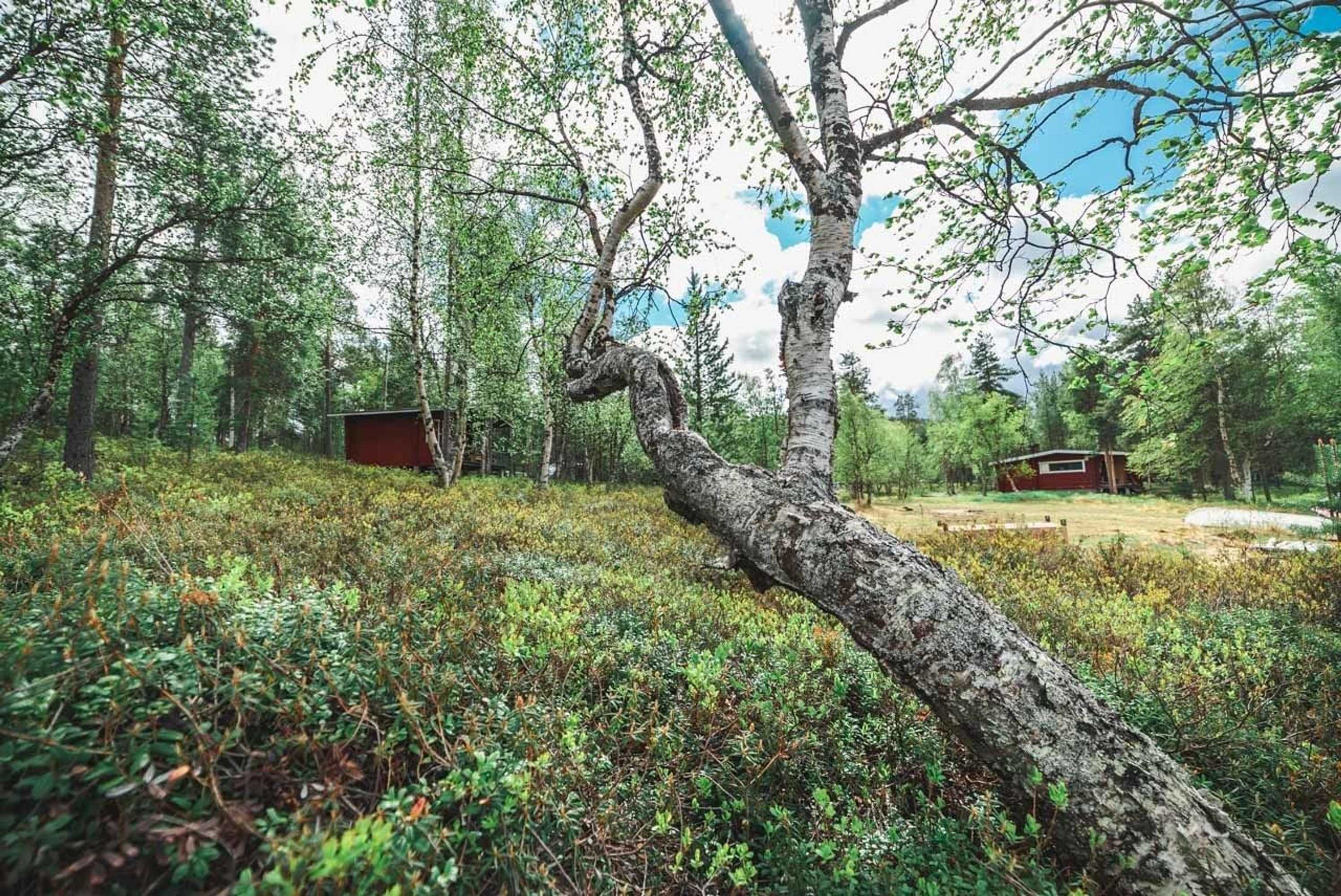 Gift card for Ukonjärven Holiday Village Gift card for Ukonjärven Holiday Village