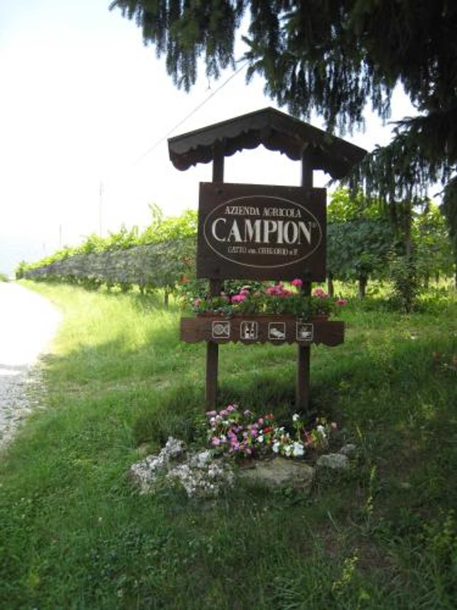 Gift card for Azienda Agricola Campion Gift card for Azienda Agricola Campion