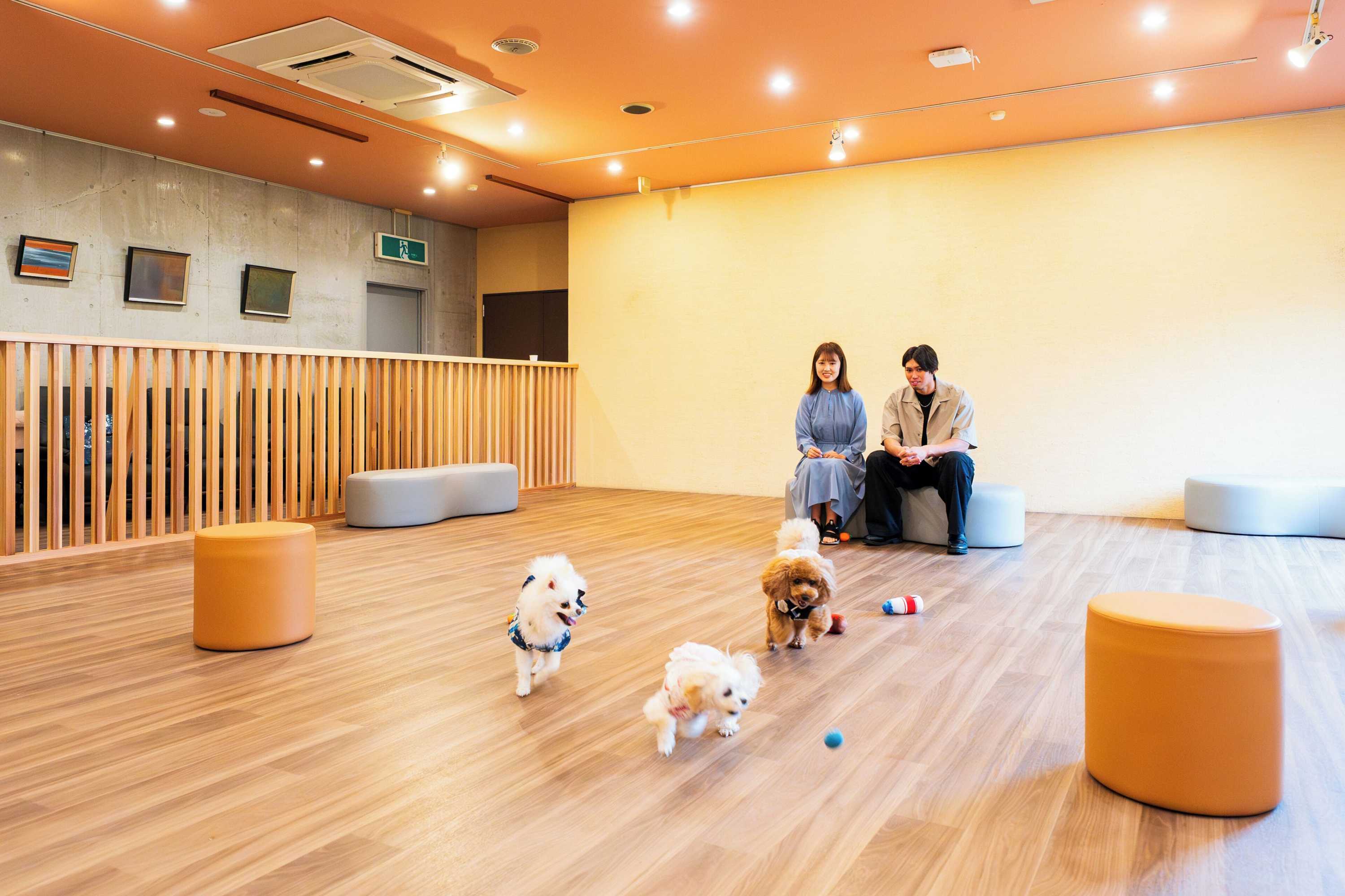 Gift card for Beppu Dog Resort Hills & Bay Gift card for Beppu Dog Resort Hills & Bay