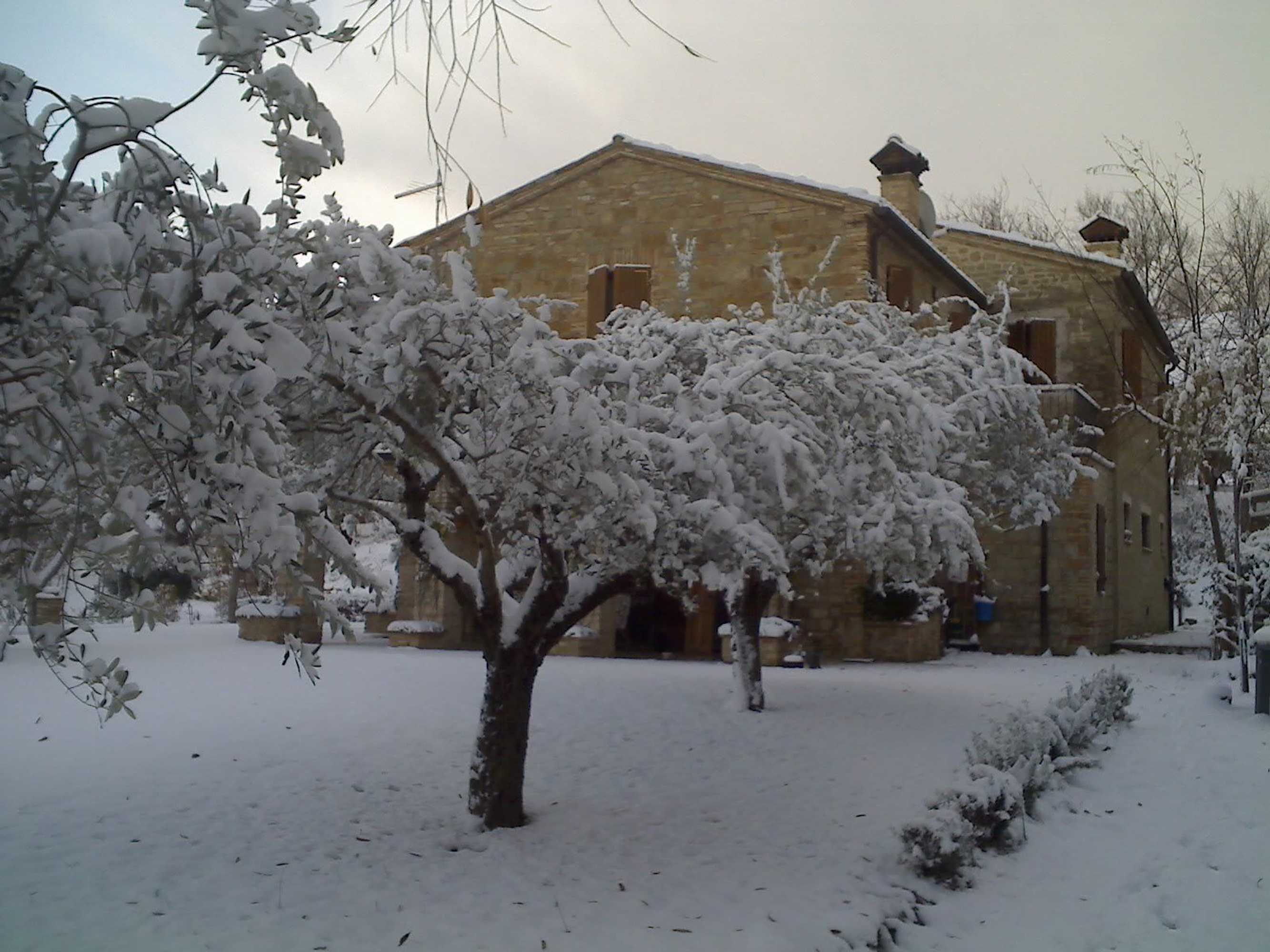 Gift card for Bed & Breakfast La Casa Delle Rondini Gift card for Bed & Breakfast La Casa Delle Rondini