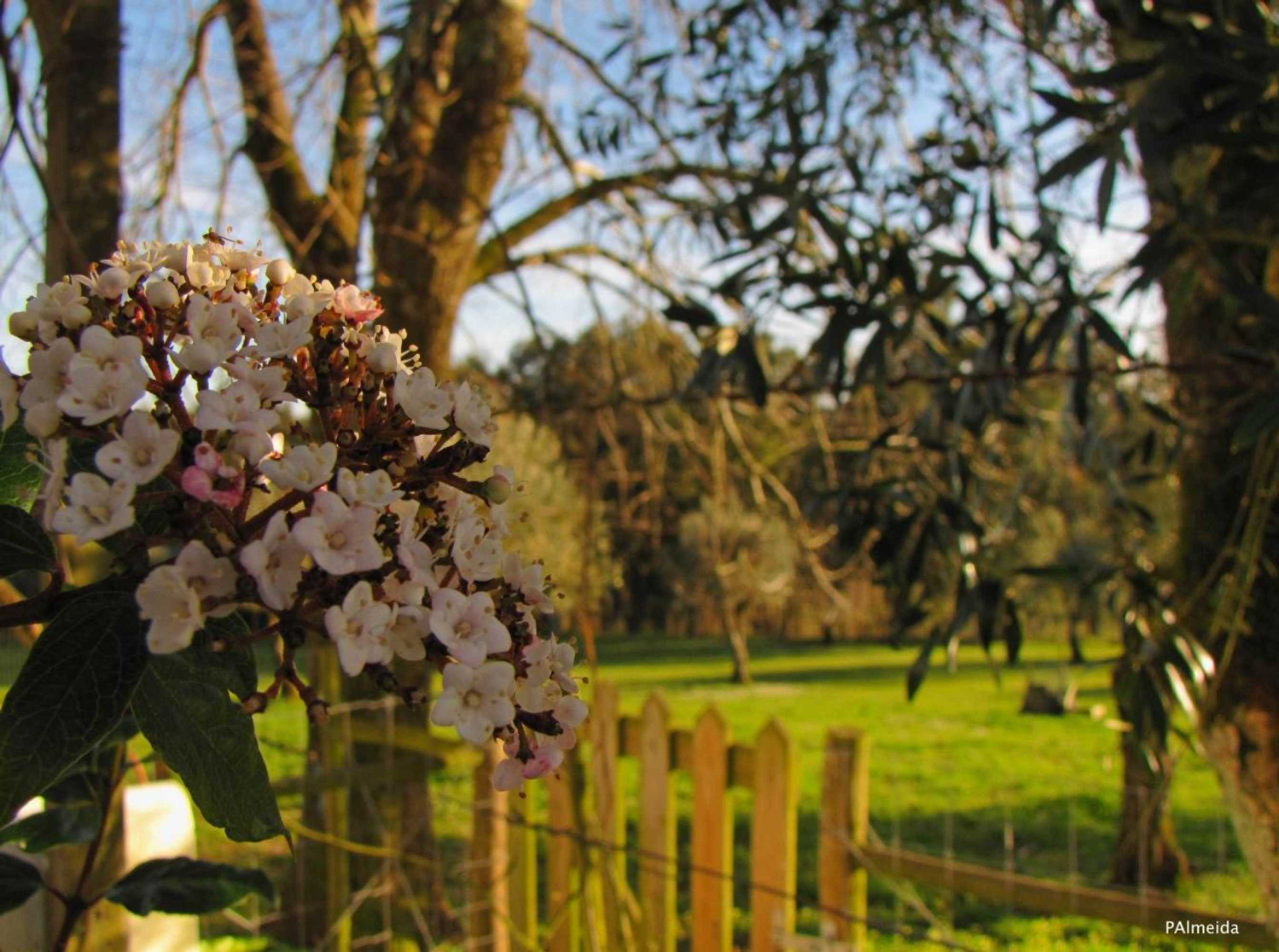 Gift card for Quinta do Cerquito