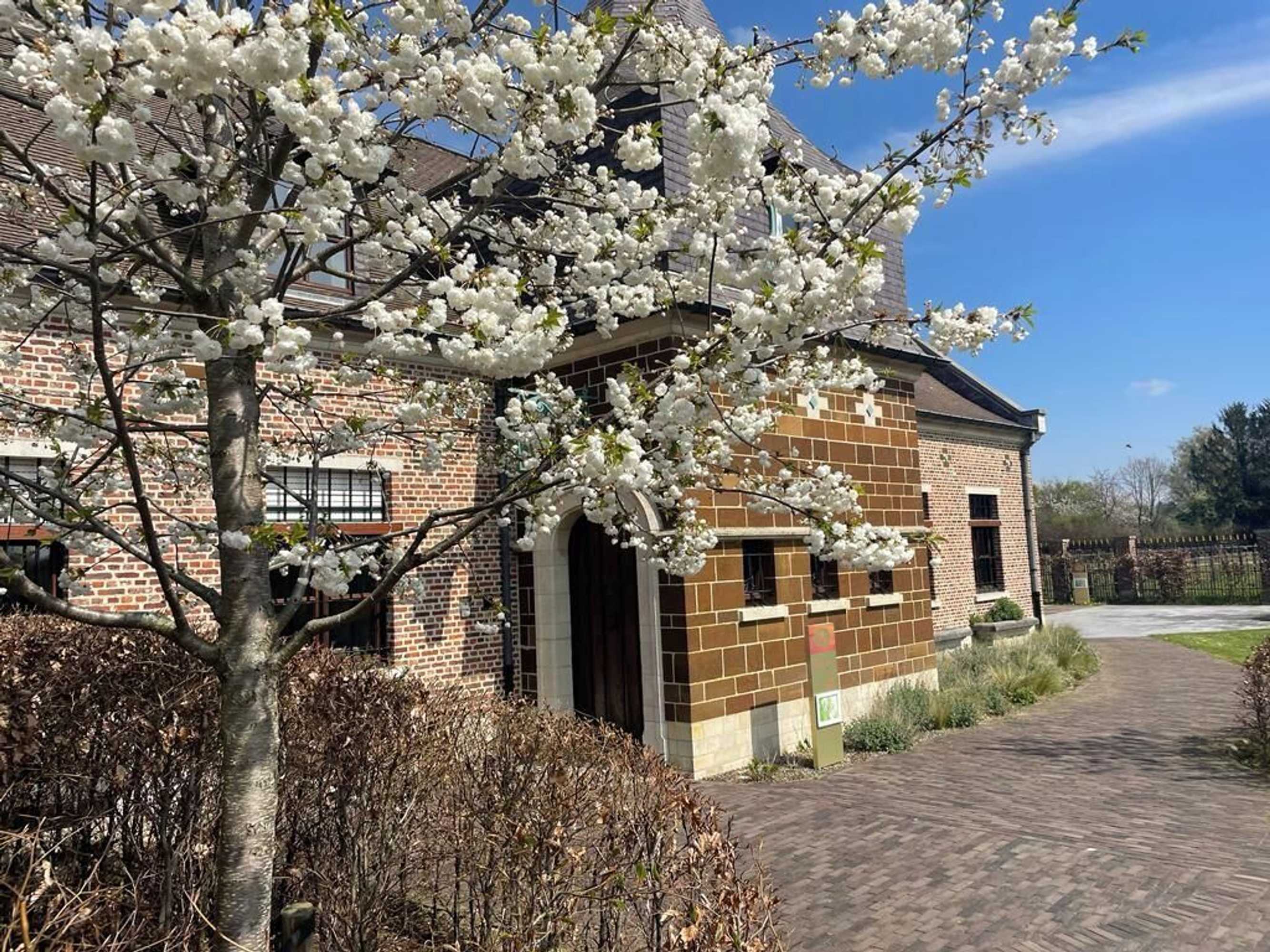 Gift card for Ask Lily