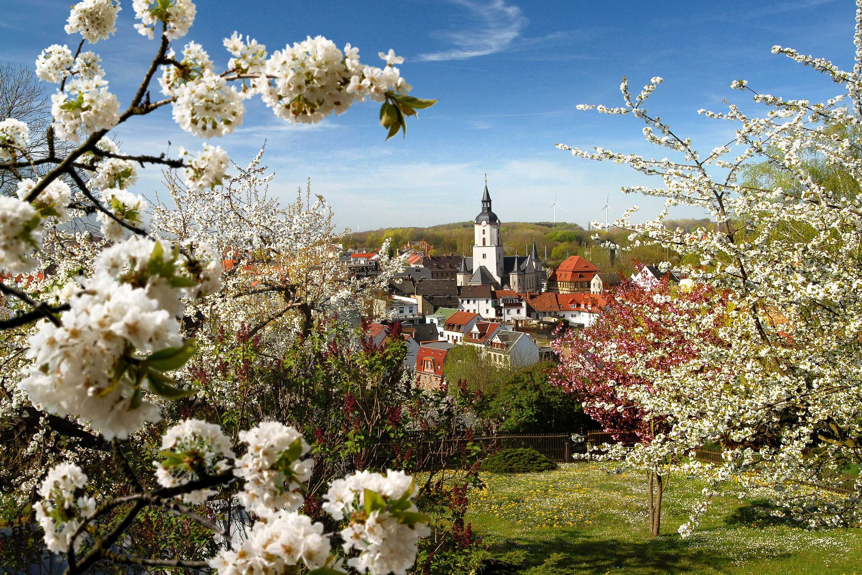 Gift card for Romantik Hotel Schwanefeld Gift card for Romantik Hotel Schwanefeld