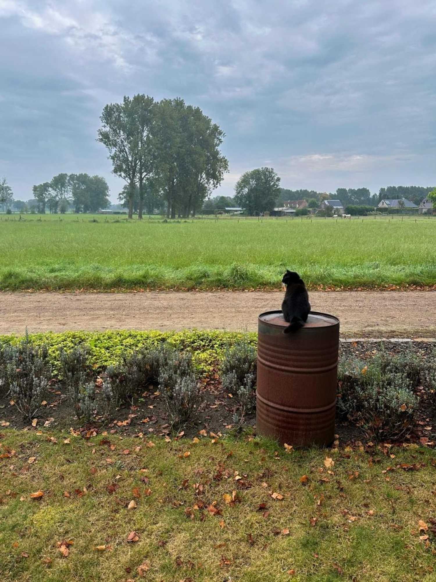 Gift card for B&b Droomzoet