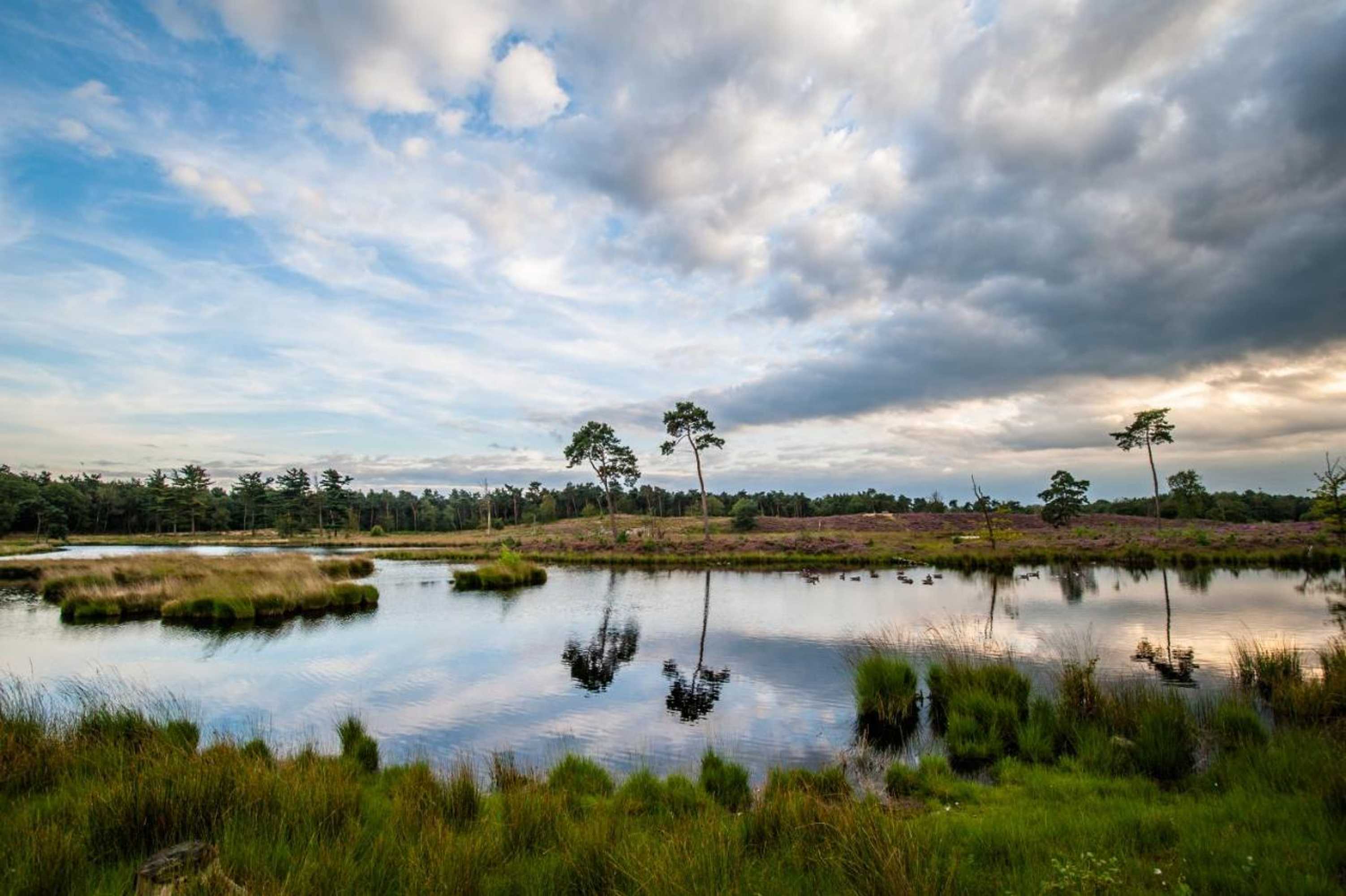 Gift card for B&b Bij de 3 Linden