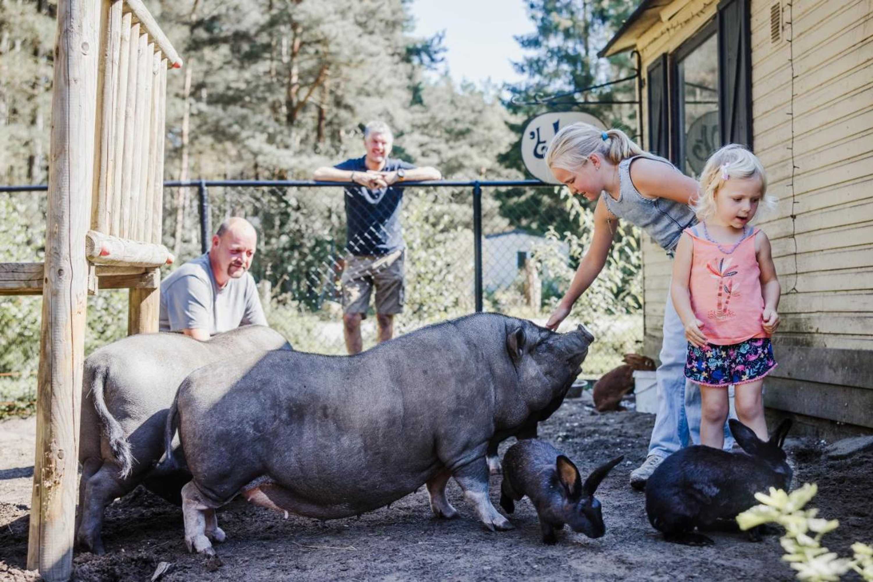 Gift card for Camping Siesta