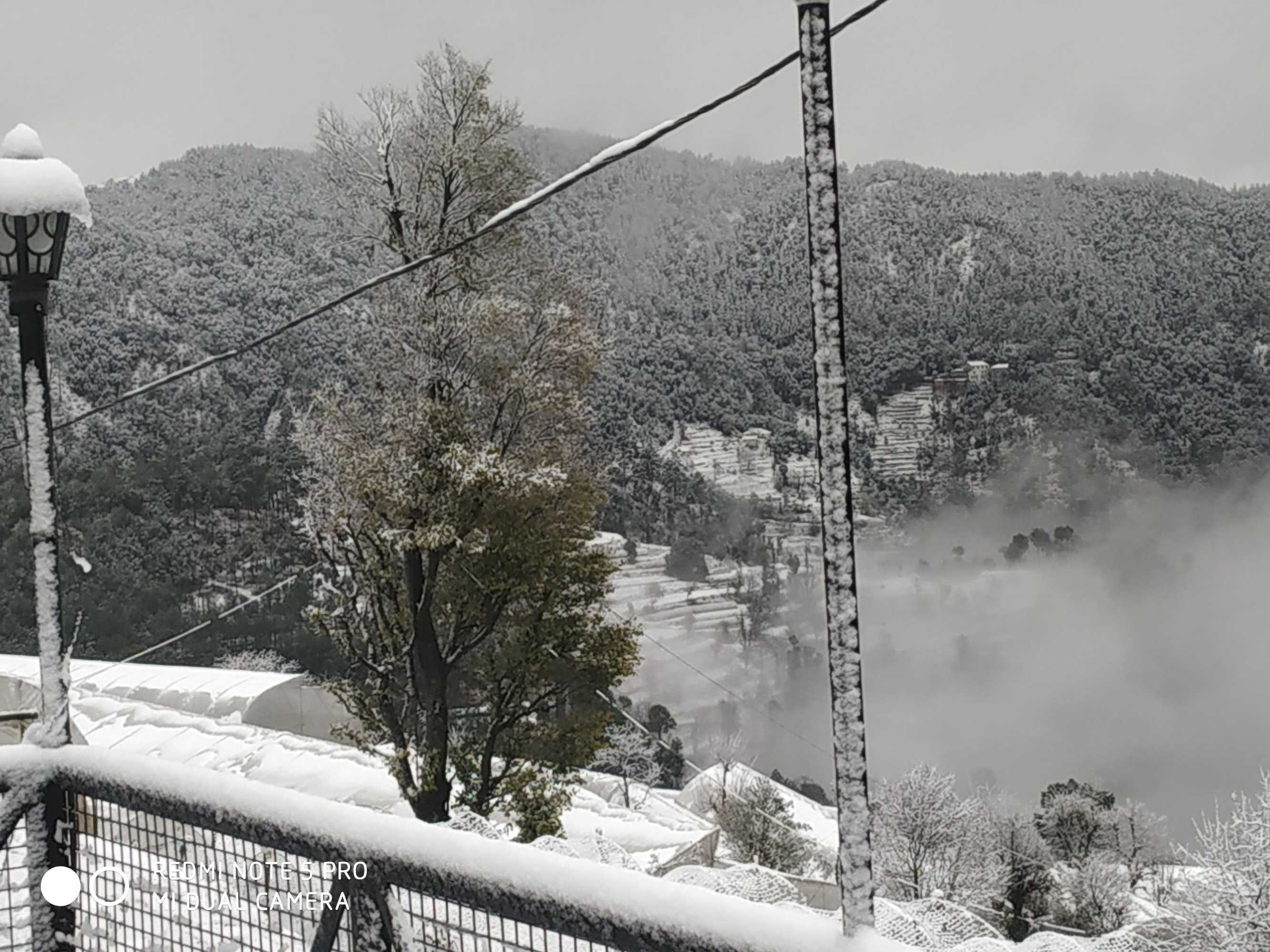 Gift card for Mountain View Resort