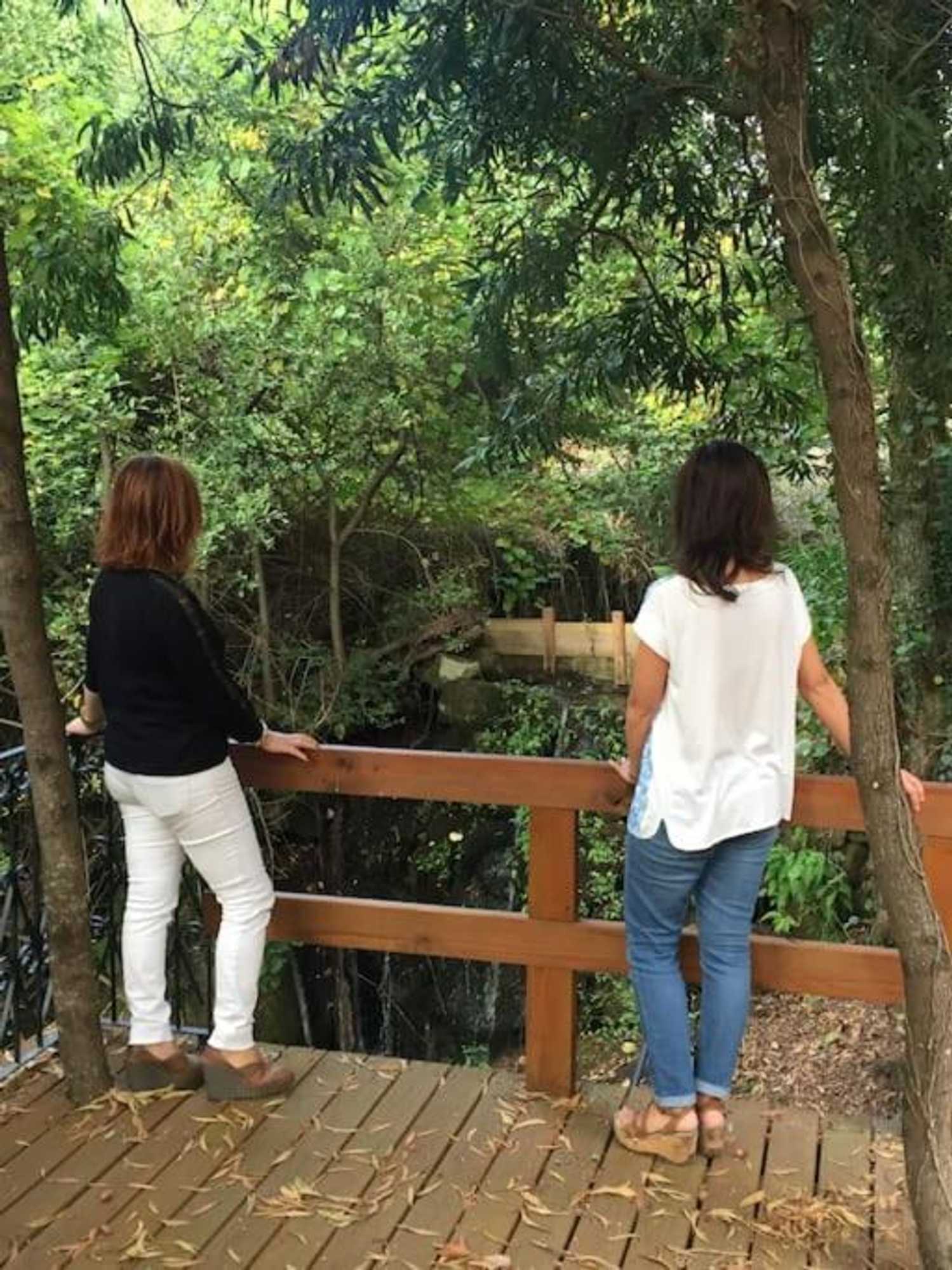 Gift card for Casa do Rio