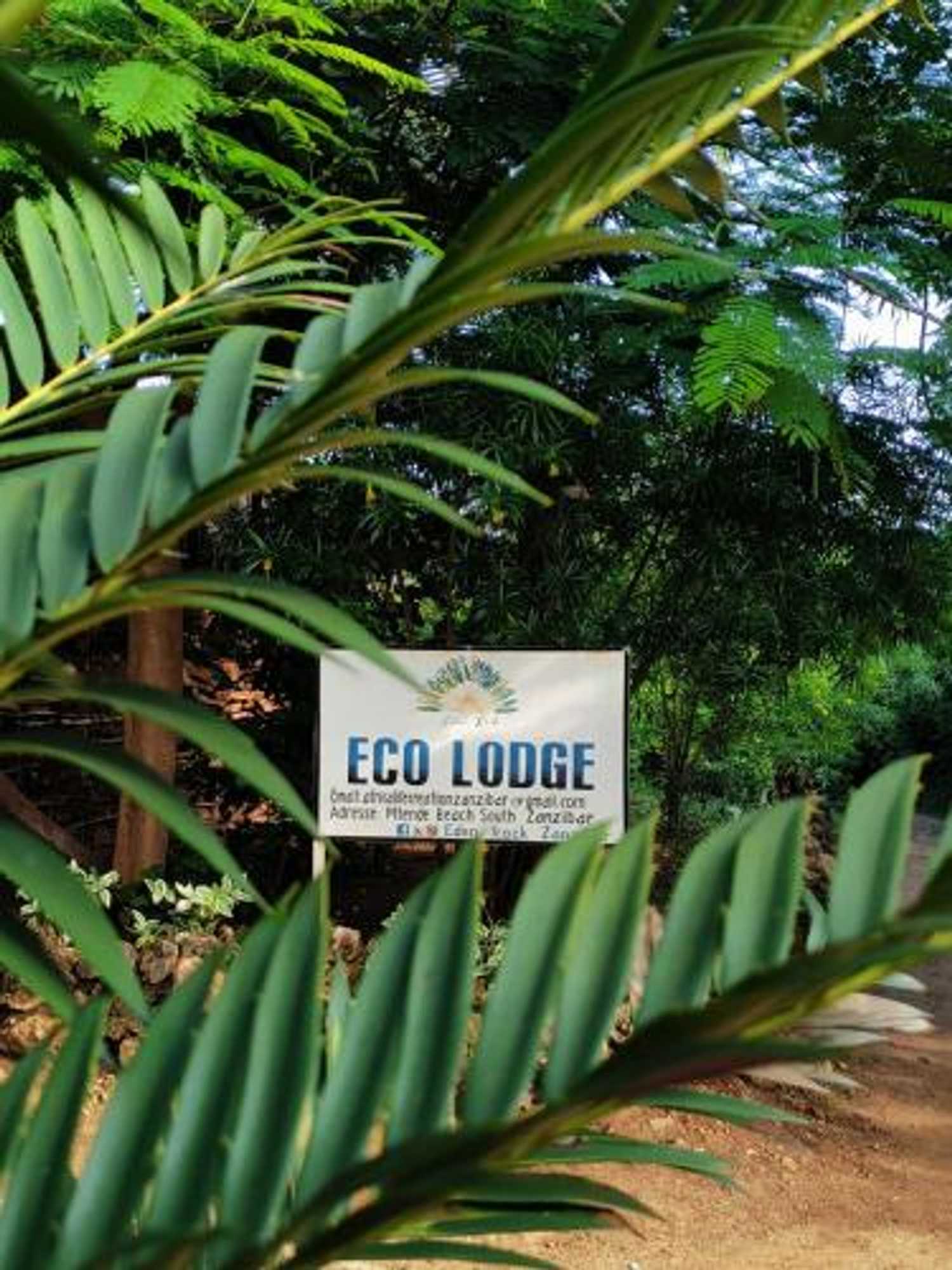 Gift card for Eden Rock Zanzibar Gift card for Eden Rock Zanzibar