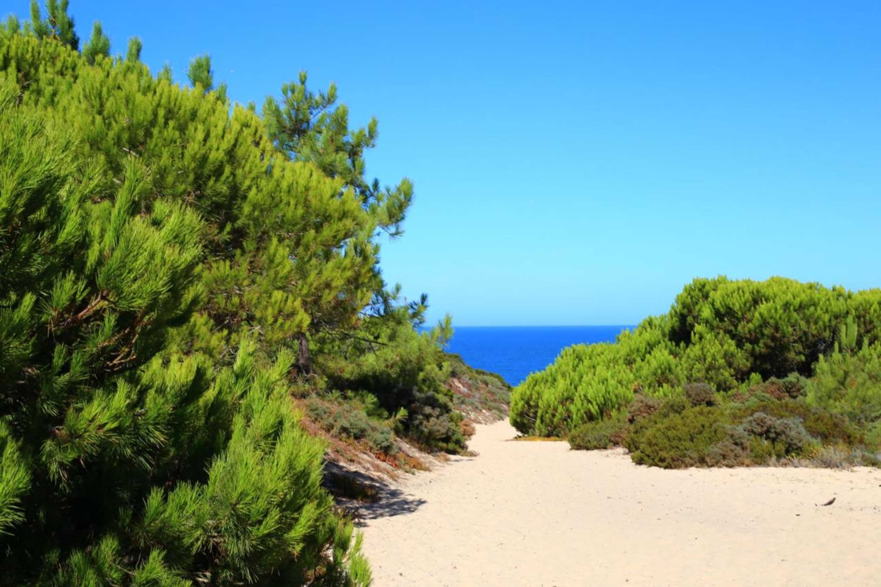 Gift card for Casa do Pai Beach House