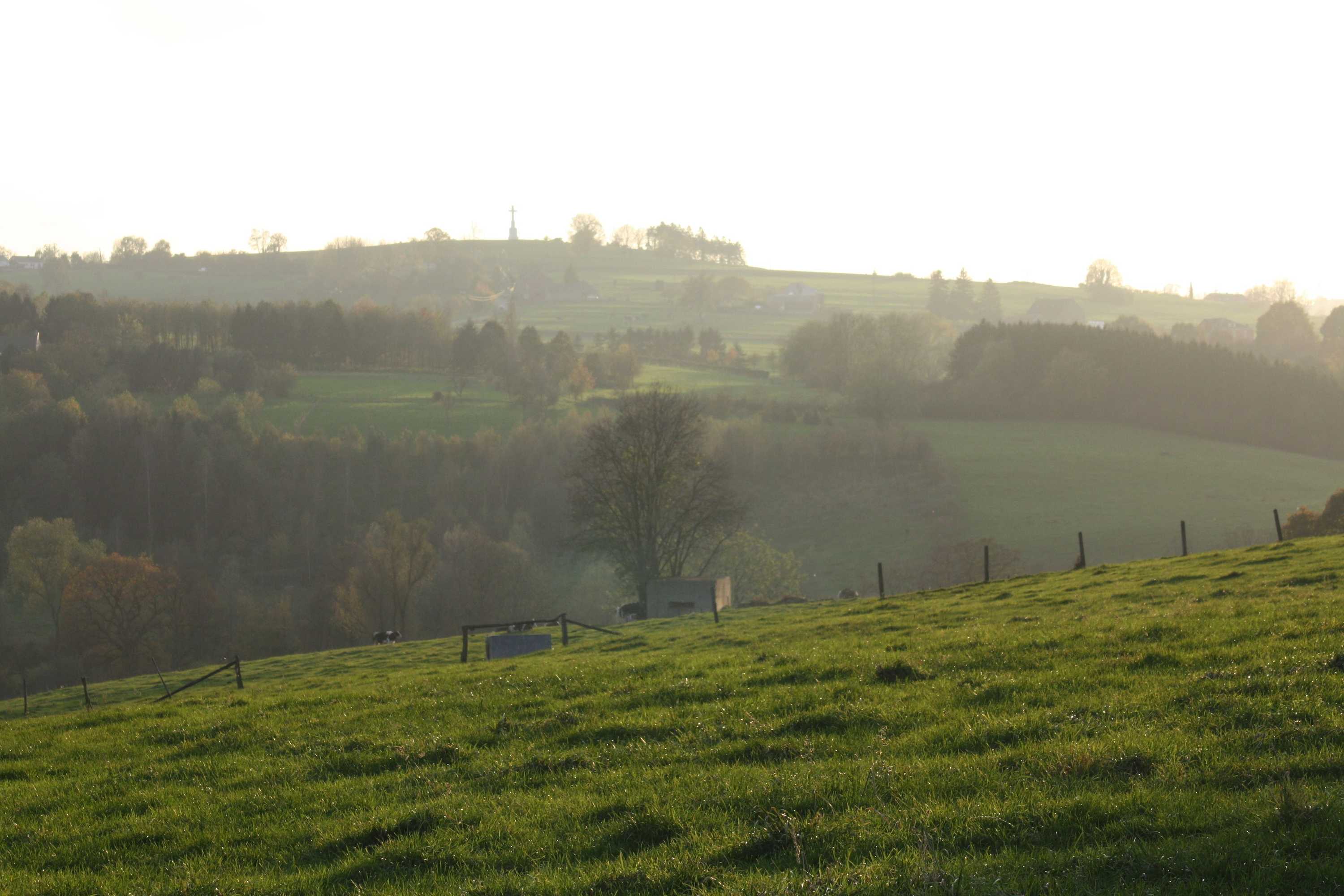 Gift card for Ô Macra