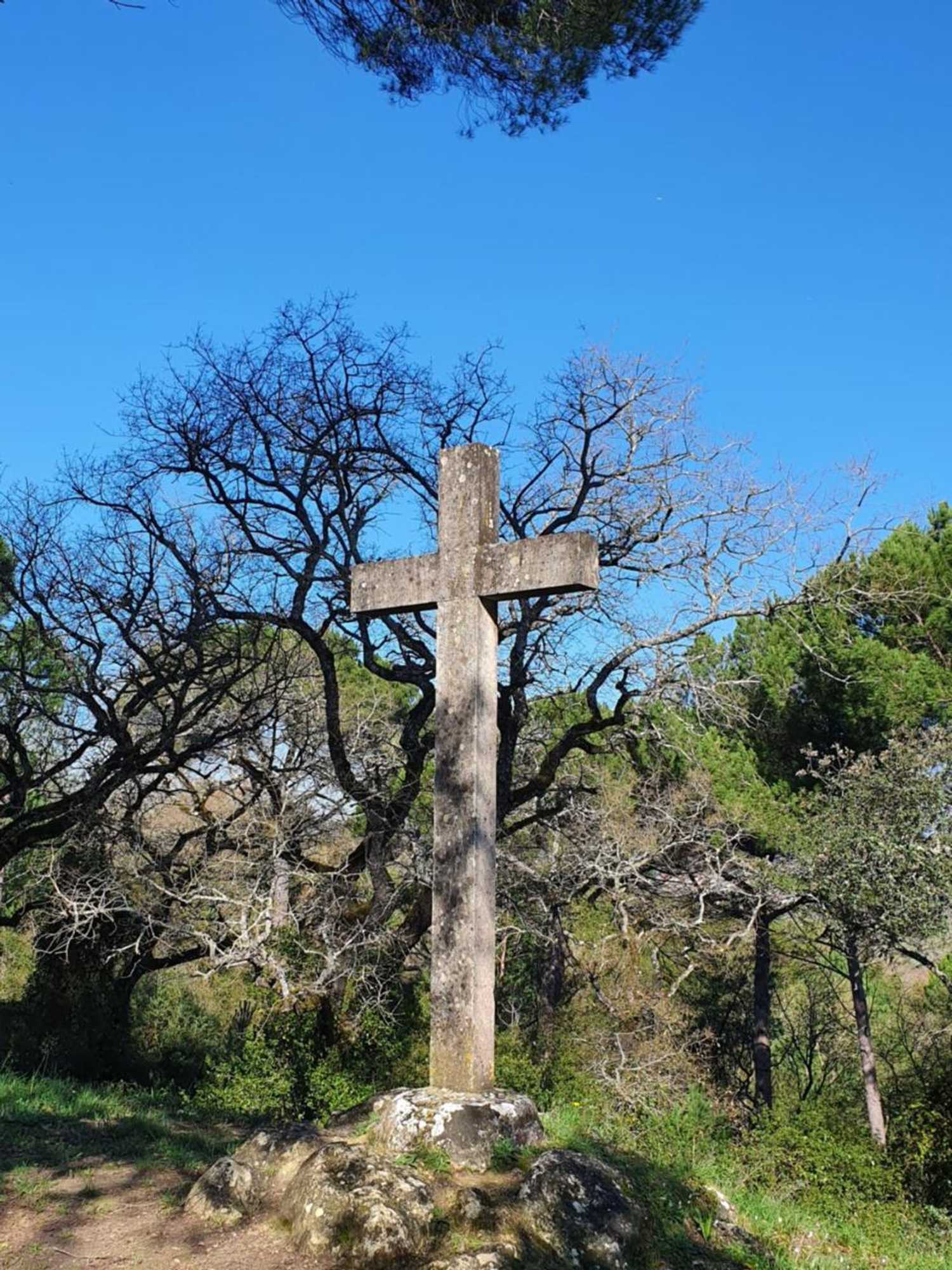 Gift card for Quinta da Bizelga Cottages