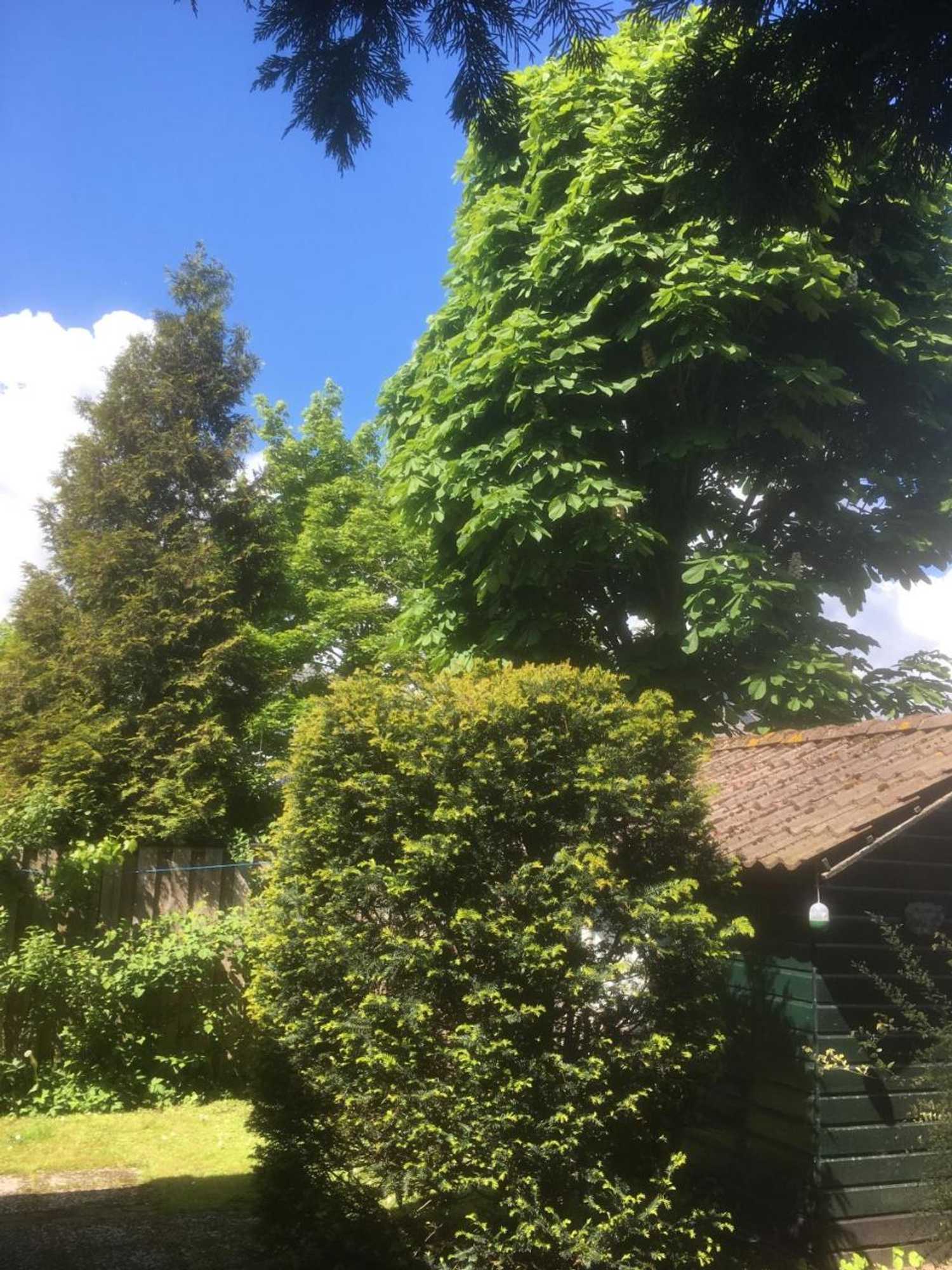 Gift card for Het Pelikaantje