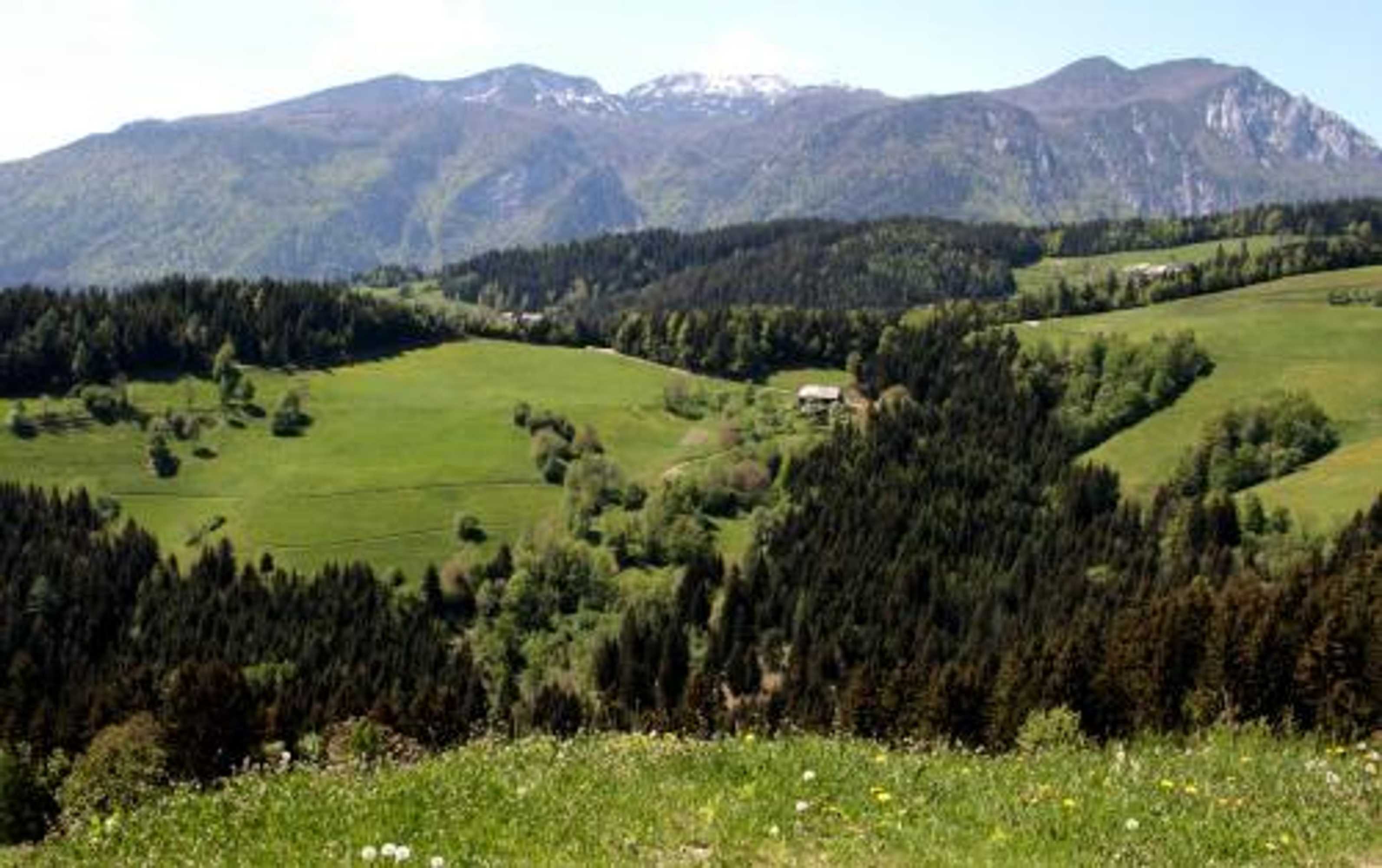 Gift card for Farmstay Hiša Pečovnik Gift card for Farmstay Hiša Pečovnik