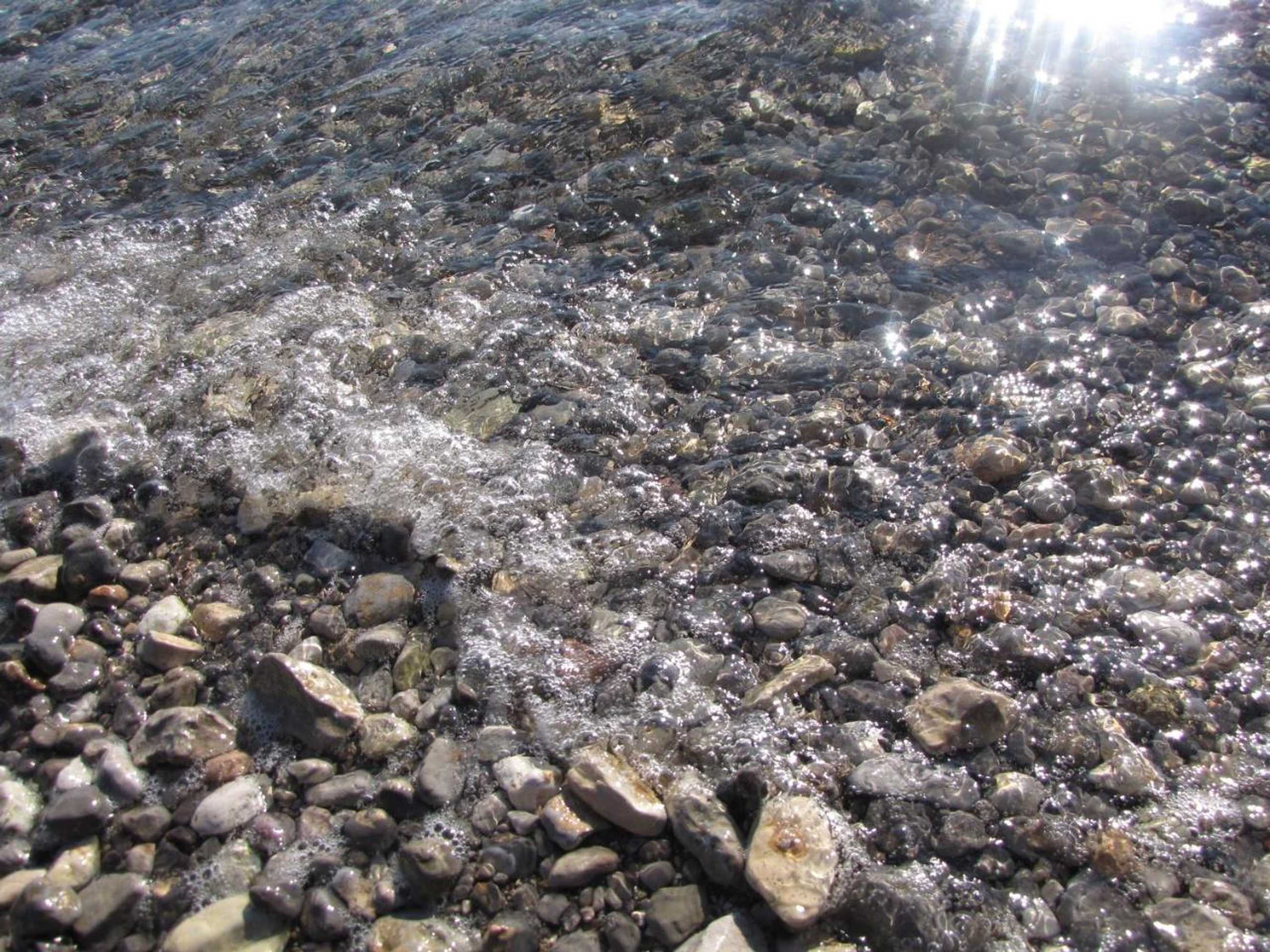 Gift card for Apartments Europa