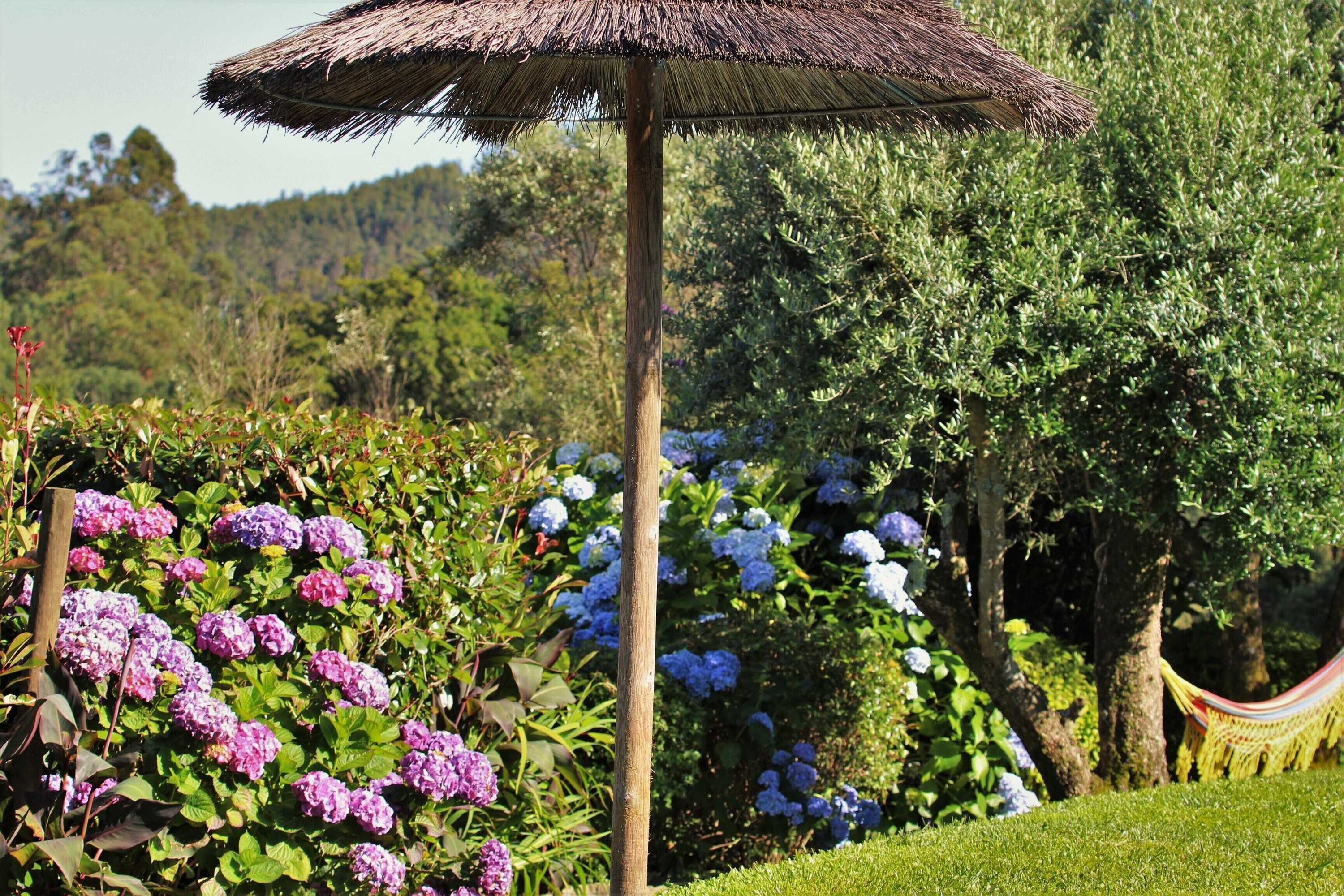 Gift card for Toca Dos Lobos - Ecological Cabin Gift card for Toca Dos Lobos - Ecological Cabin