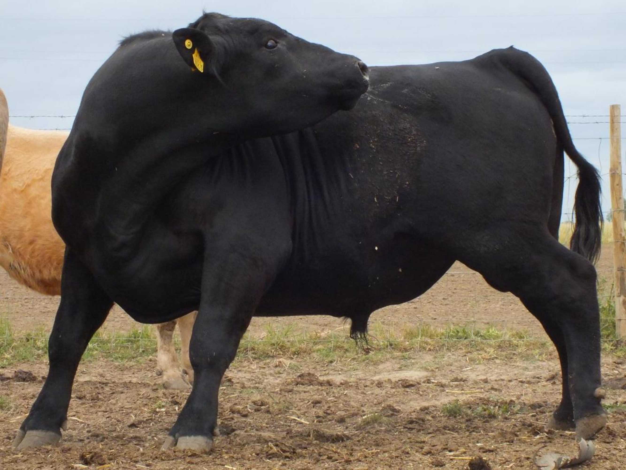 Gift card for Quinta da Gafaria