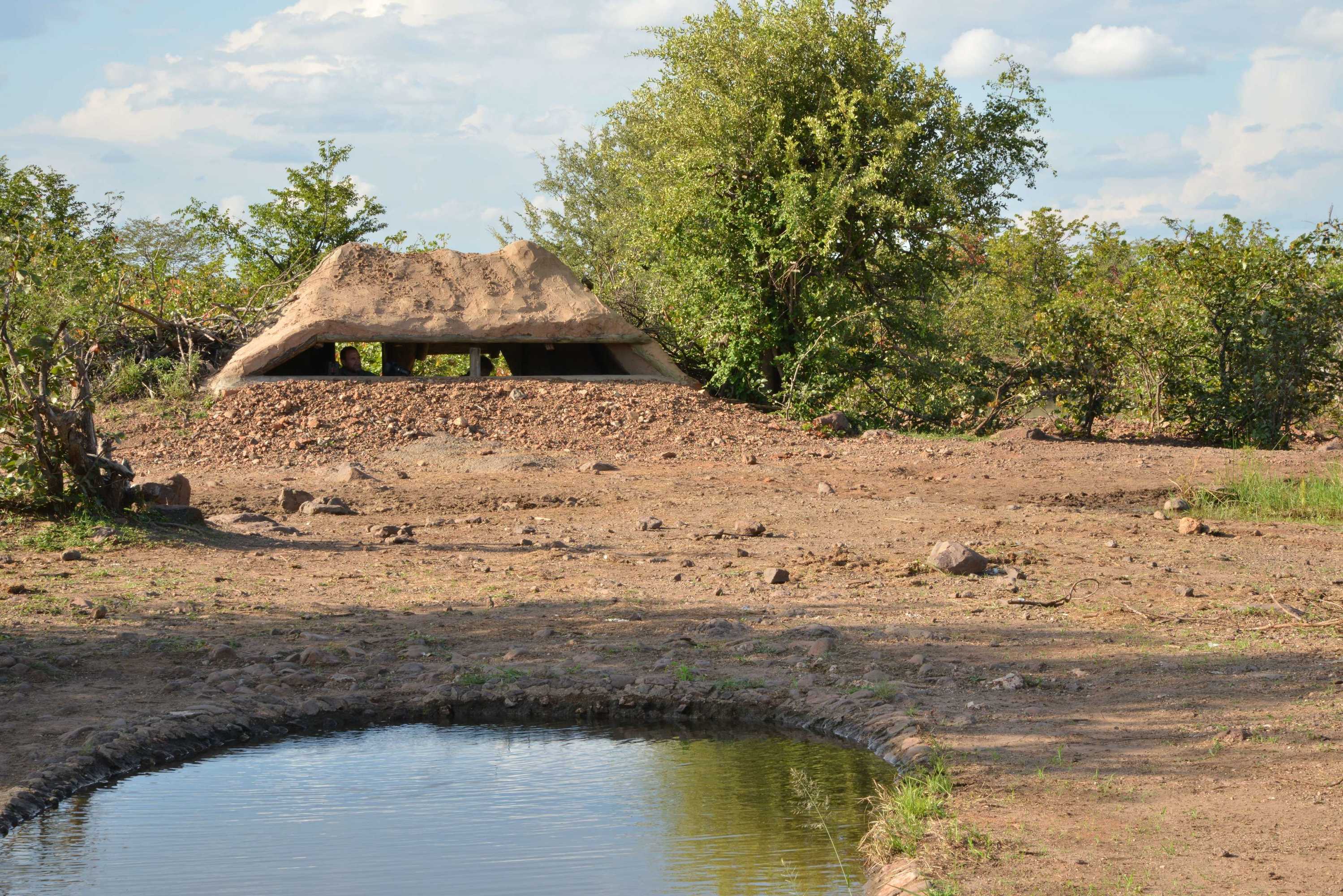 Gift card for Victoria Falls Safari Lodge Gift card for Victoria Falls Safari Lodge