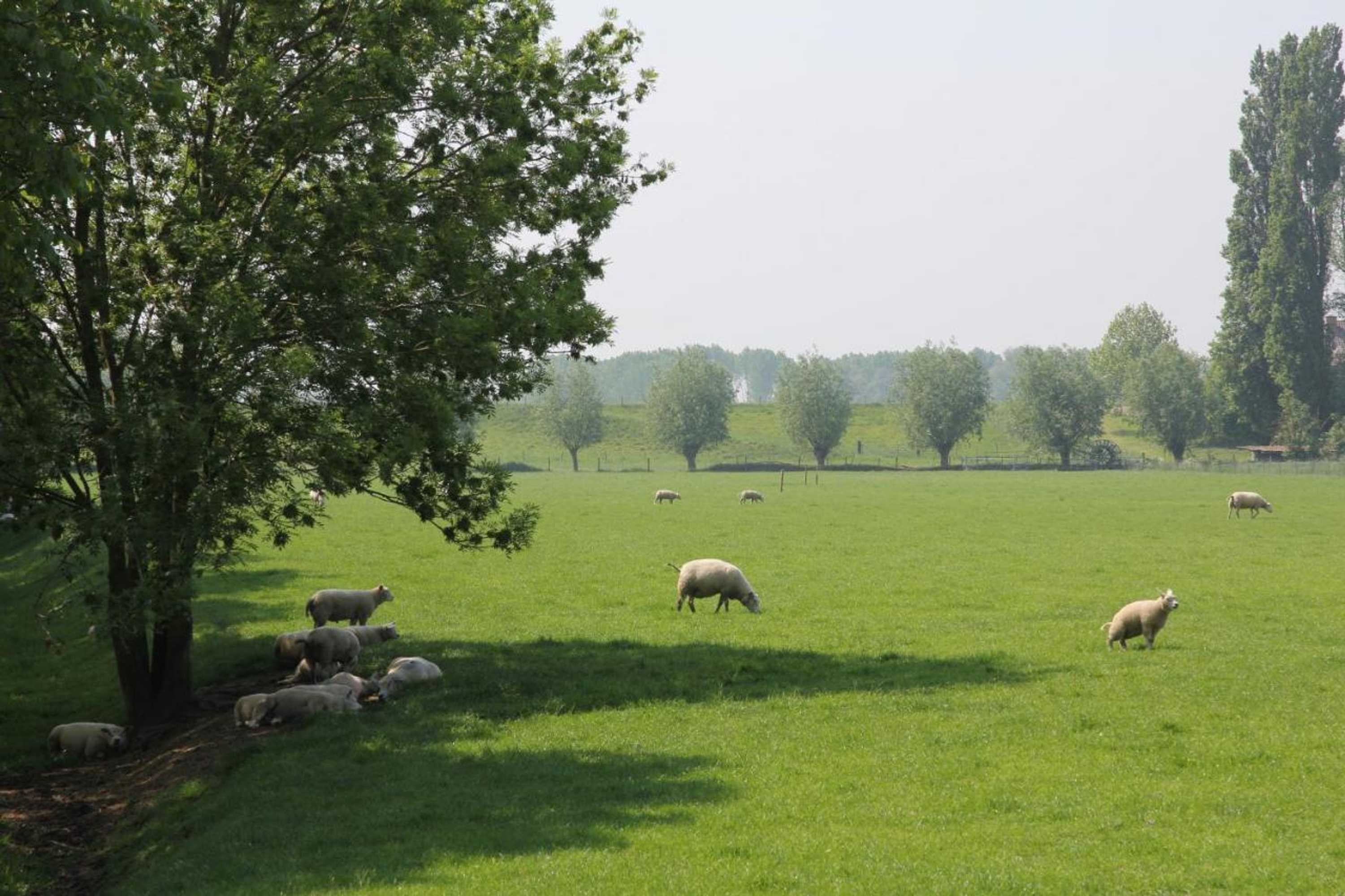 Gift card for B&b Buitenwaard