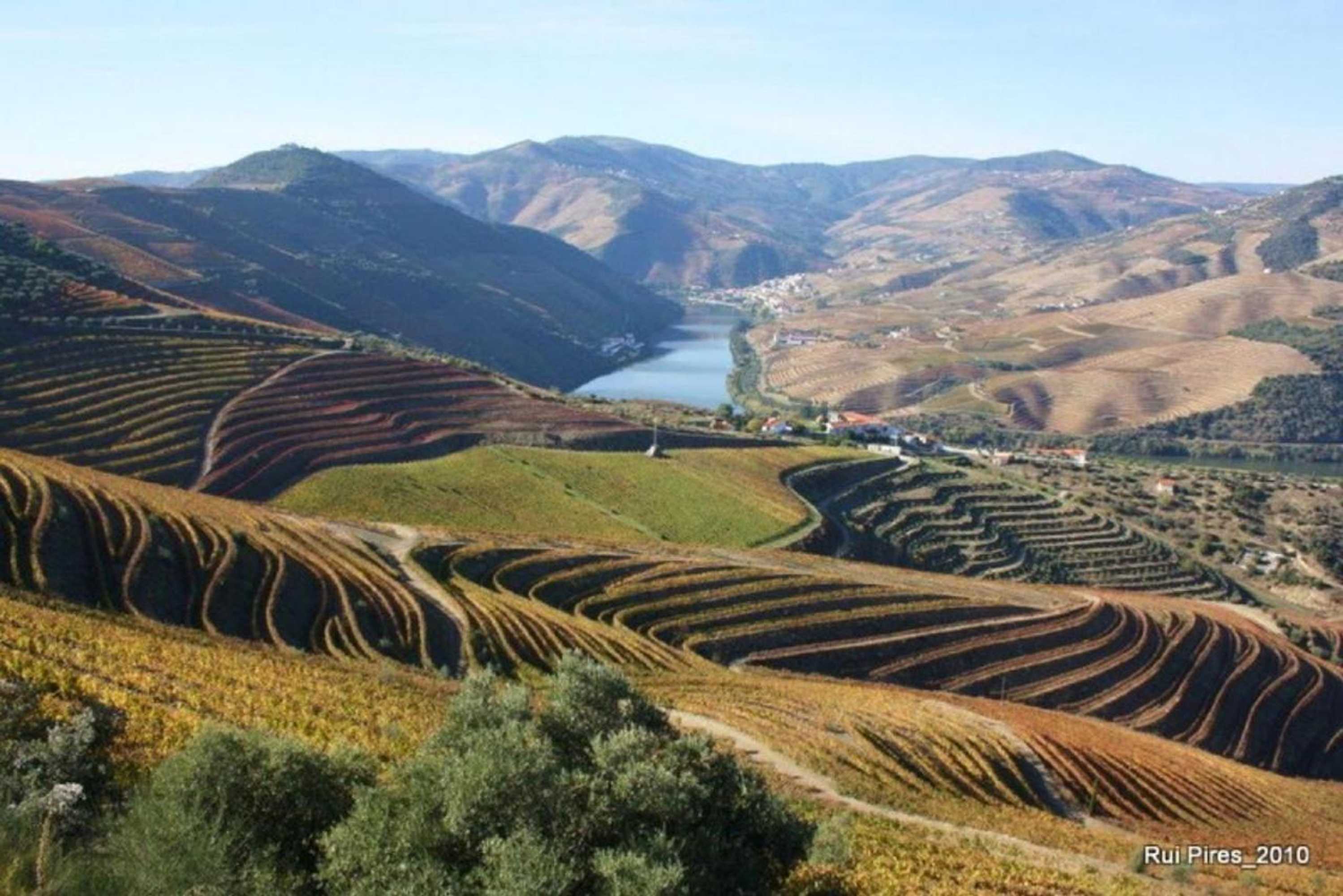 Gift card for Douro House