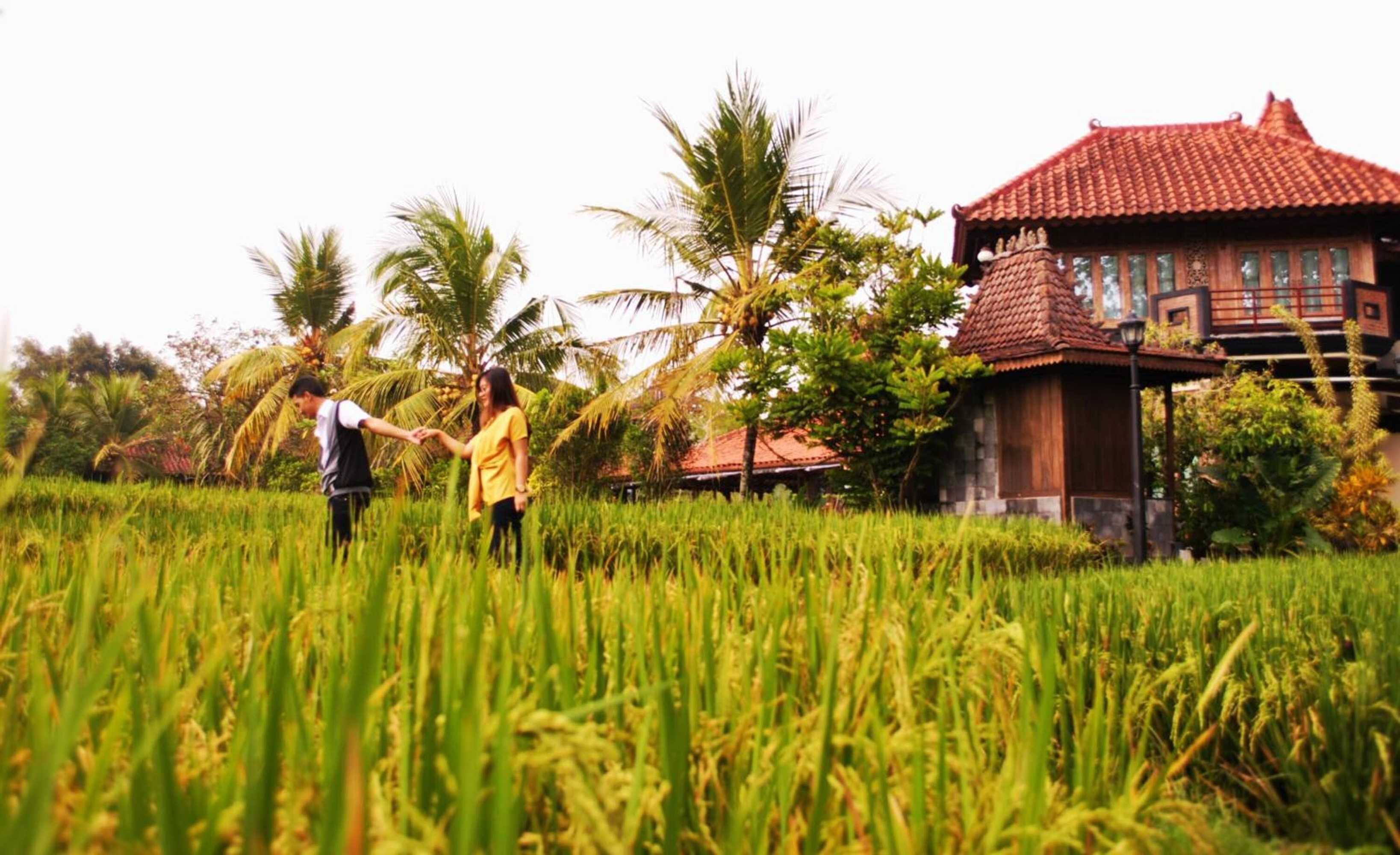 Gift card for Java Village Resort by Homee Yogyakarta