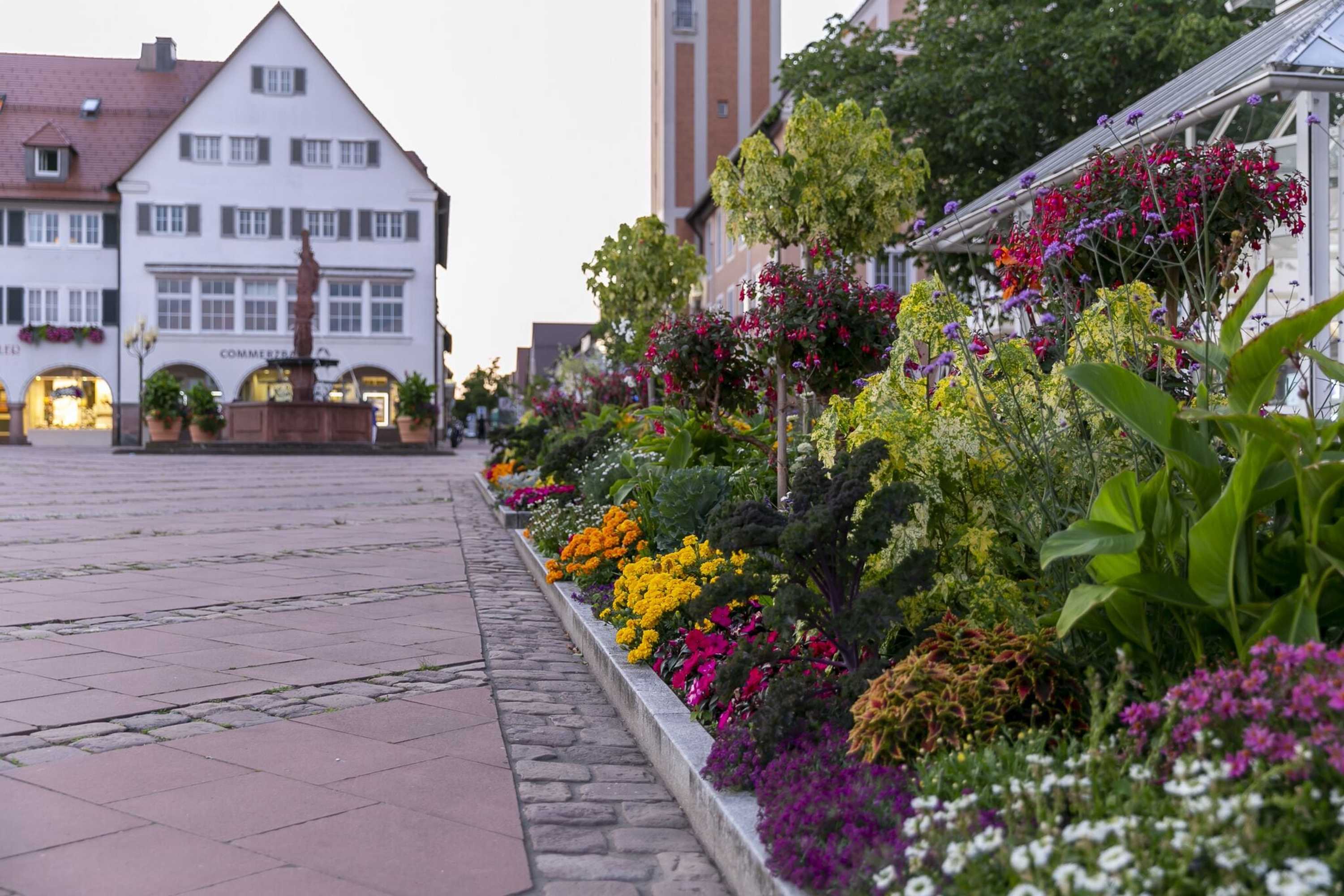 Gift card for Hotel Schwarzwald Freudenstadt Gift card for Hotel Schwarzwald Freudenstadt