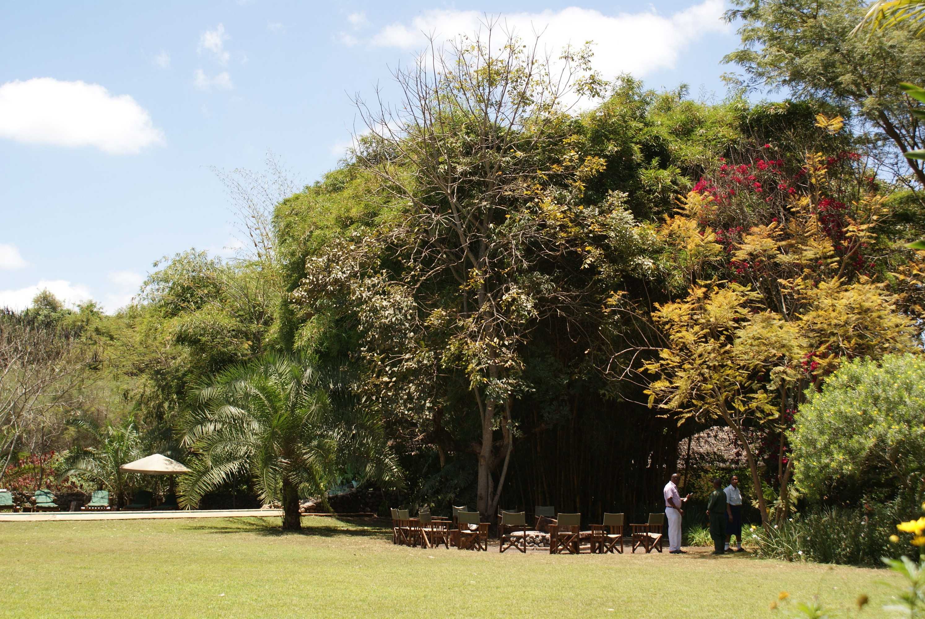 Gift card for Moivaro Coffee Plantation Lodge Gift card for Moivaro Coffee Plantation Lodge