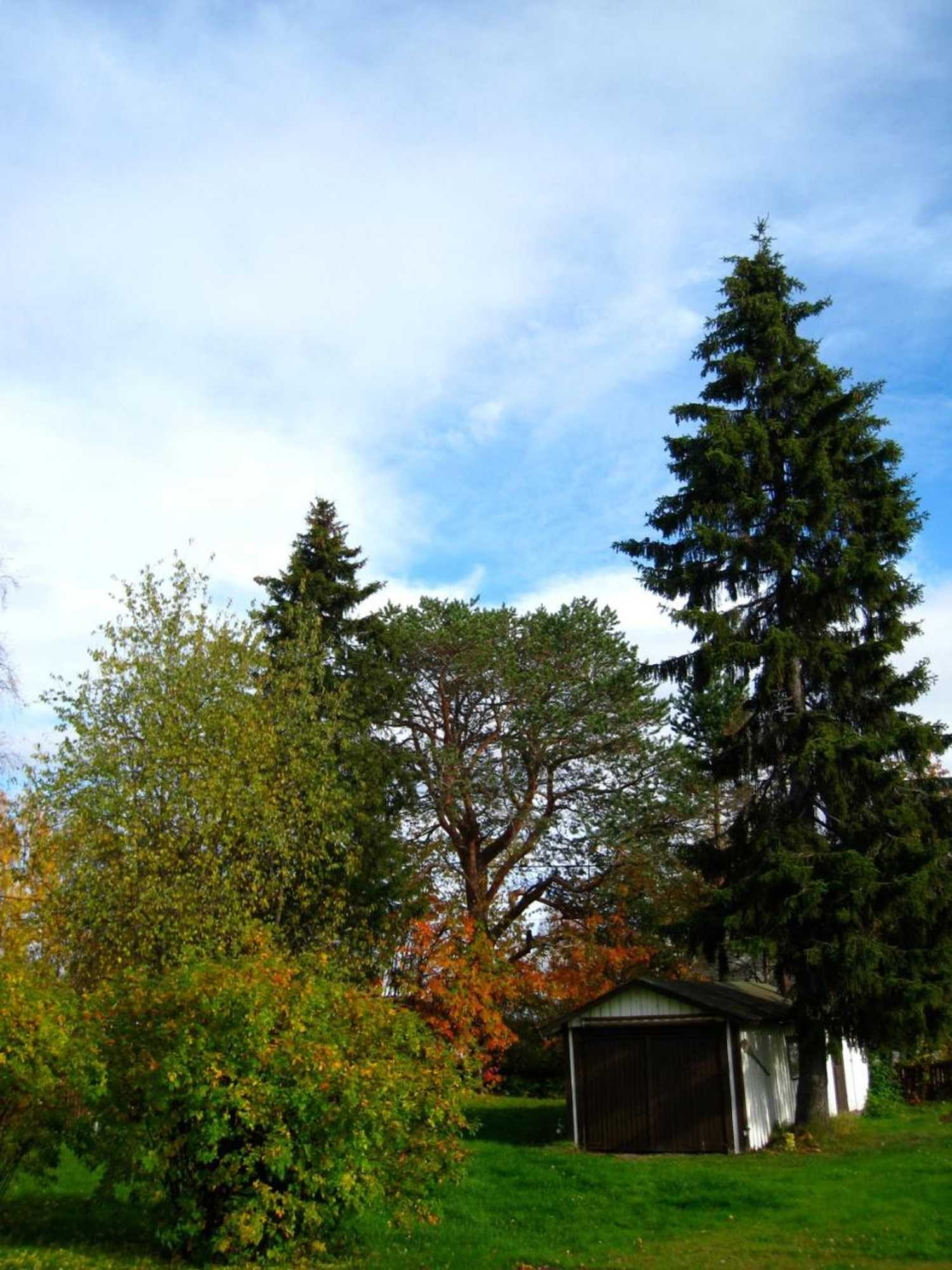 Gift card for Guesthouse Golden Goose