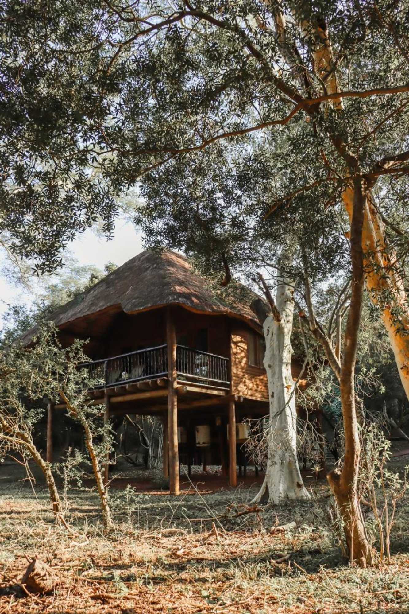 Gift card for Ubizane Zululand Tree Lodge