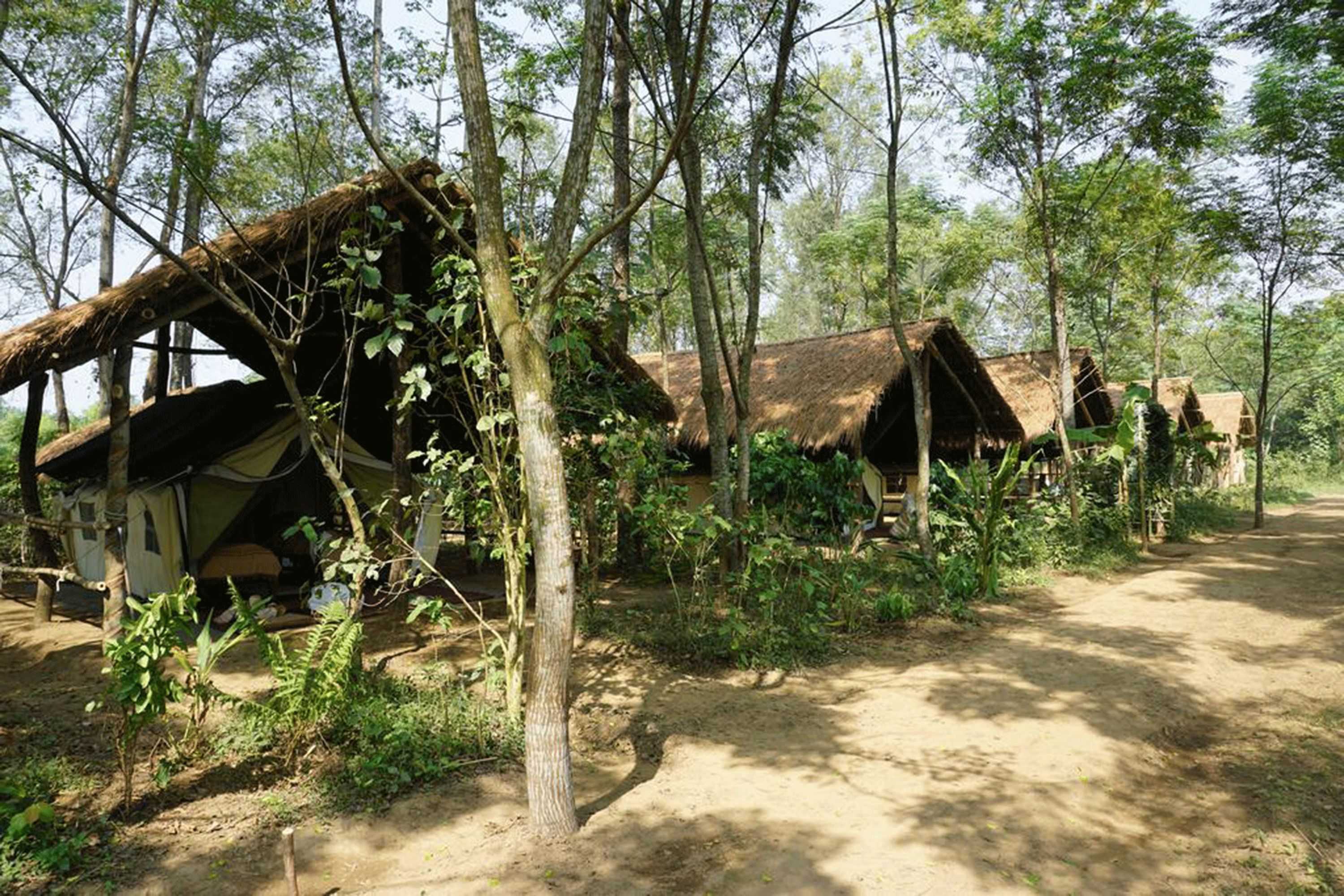 Gift card for Tiger Tops Tharu Lodge Gift card for Tiger Tops Tharu Lodge