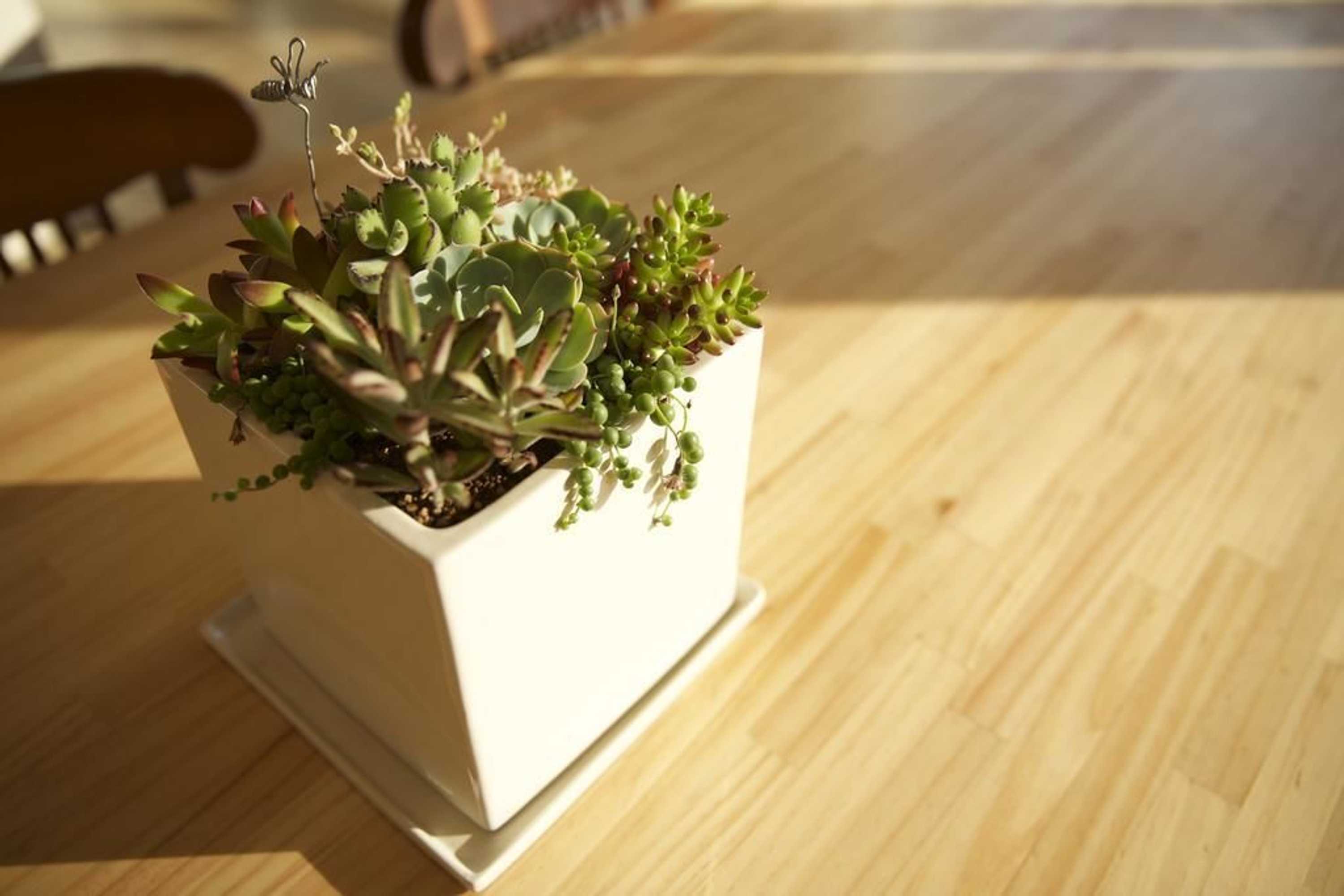 Gift card for I Sky Villa